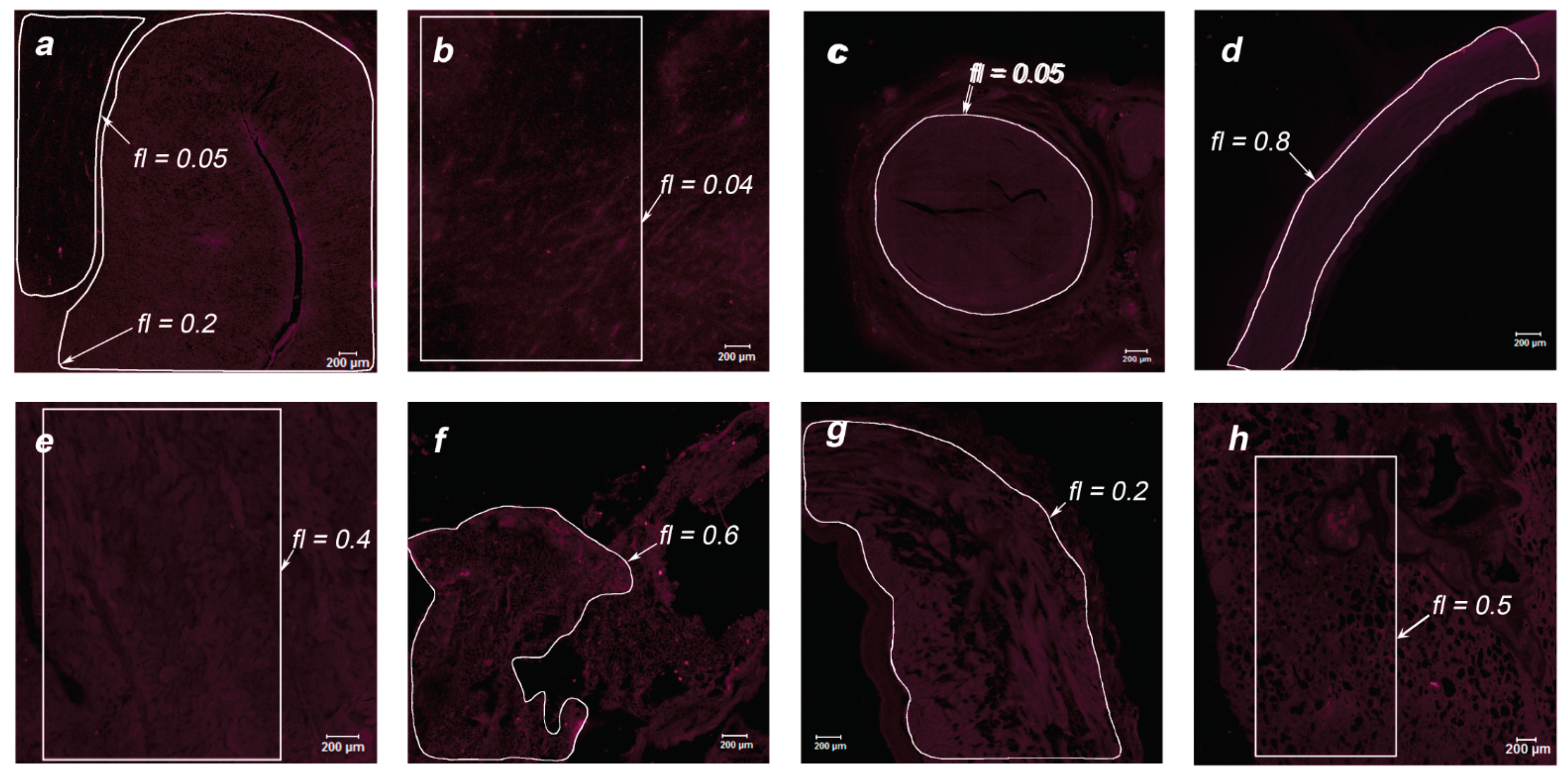 Photonics 08 00294 g009 550