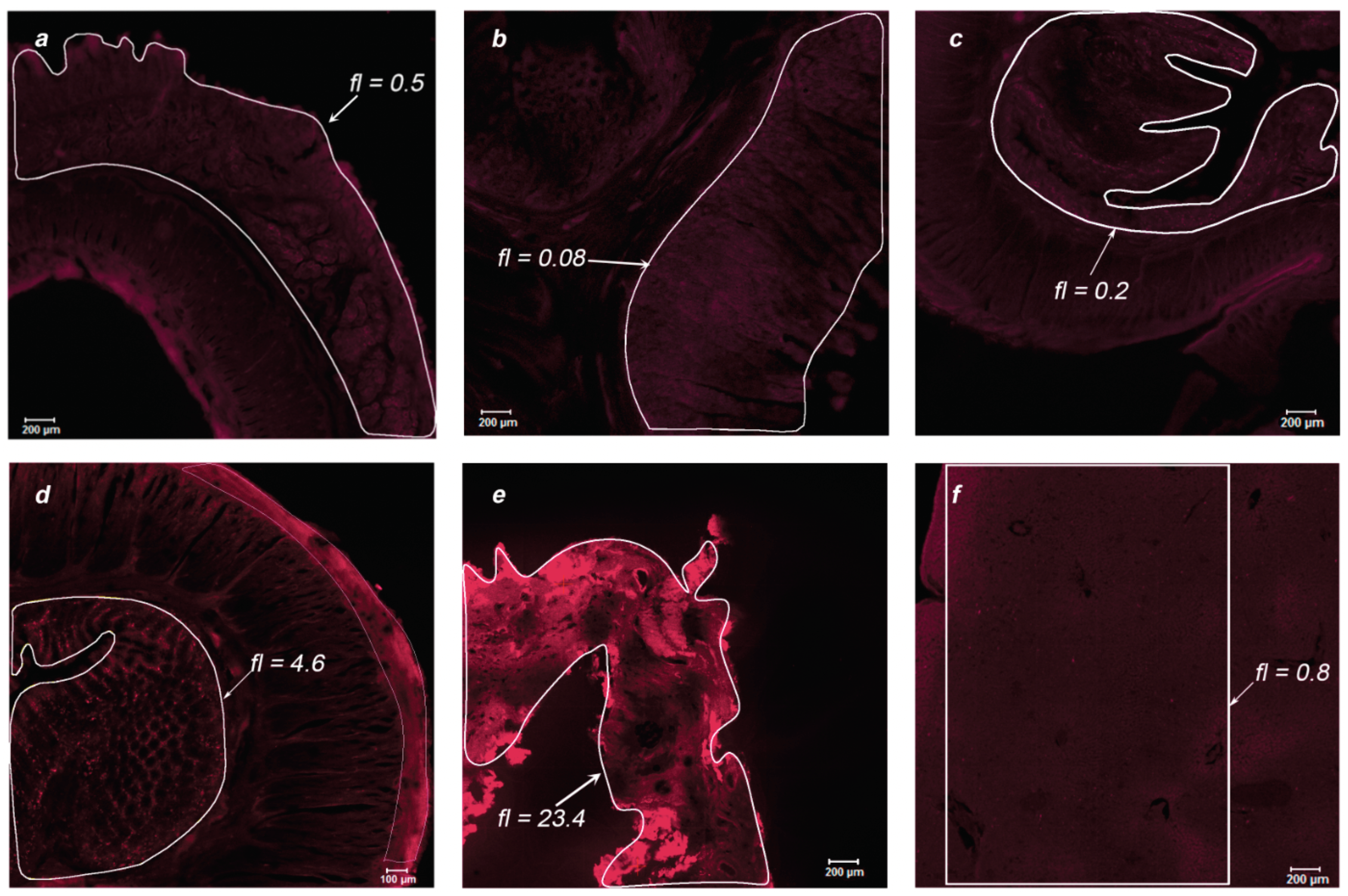 Photonics 08 00294 g010 550