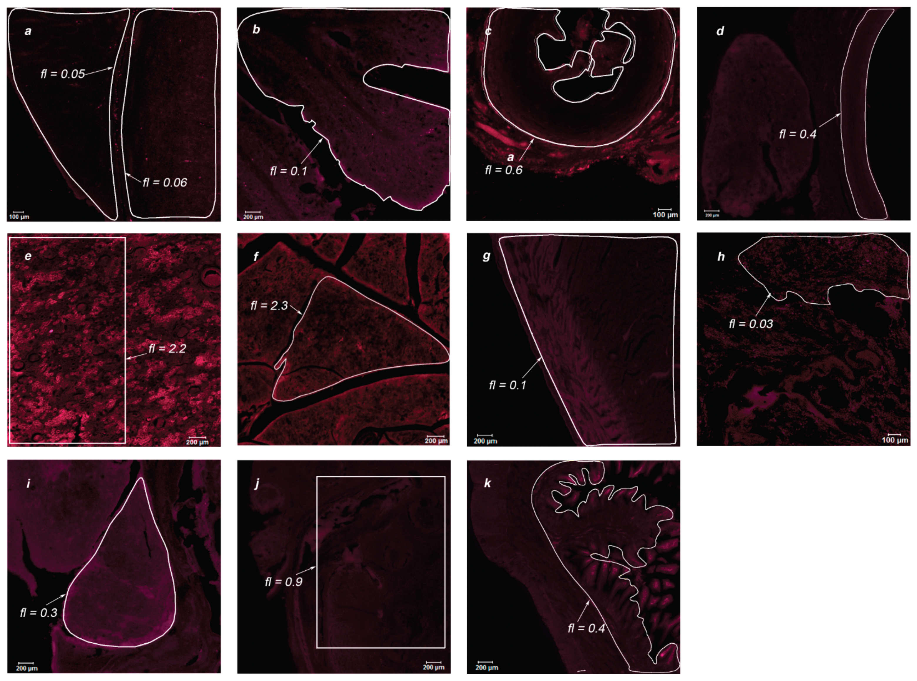Photonics 08 00294 g011 550