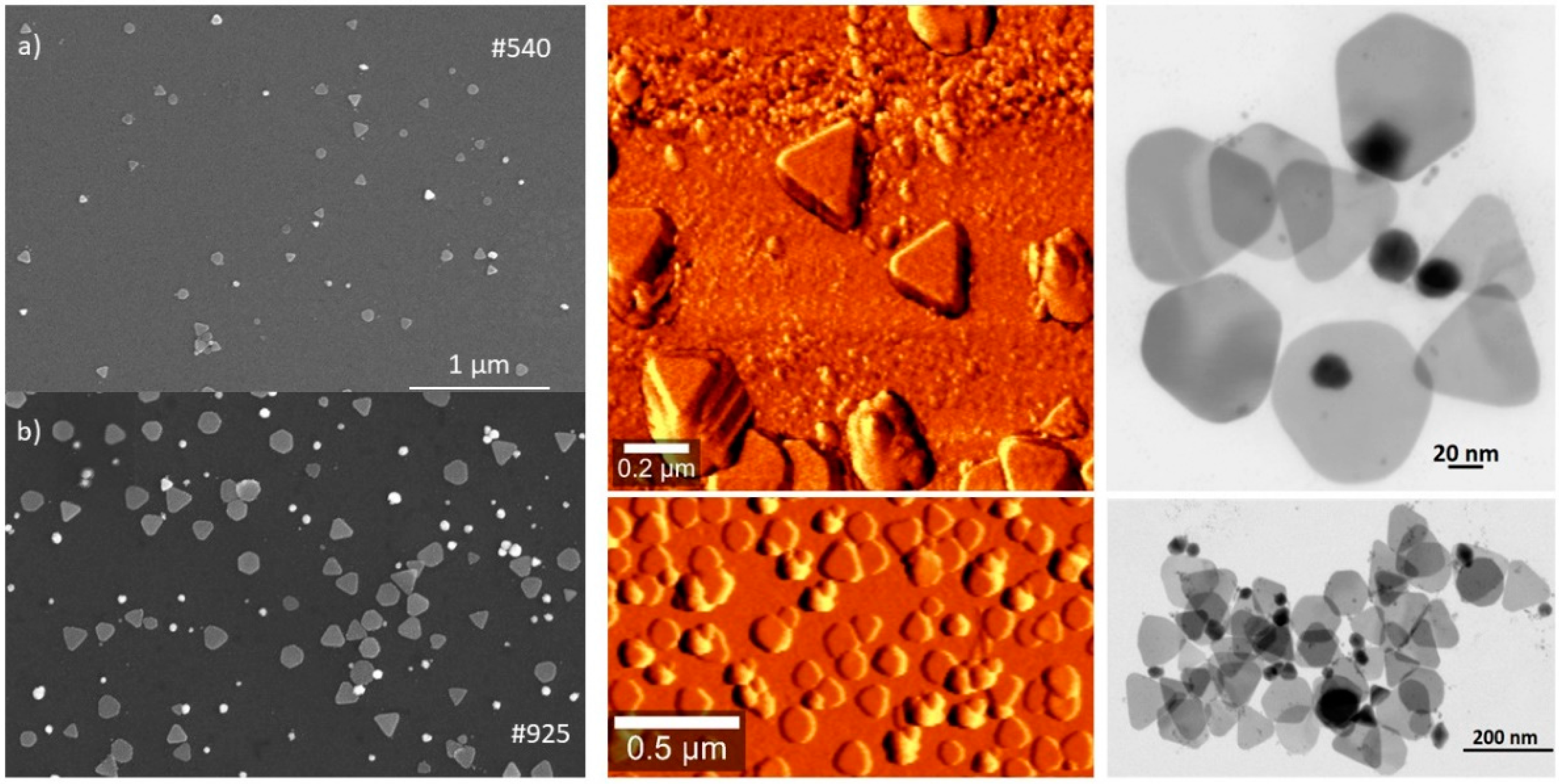 Photonics 08 00299 g003 550
