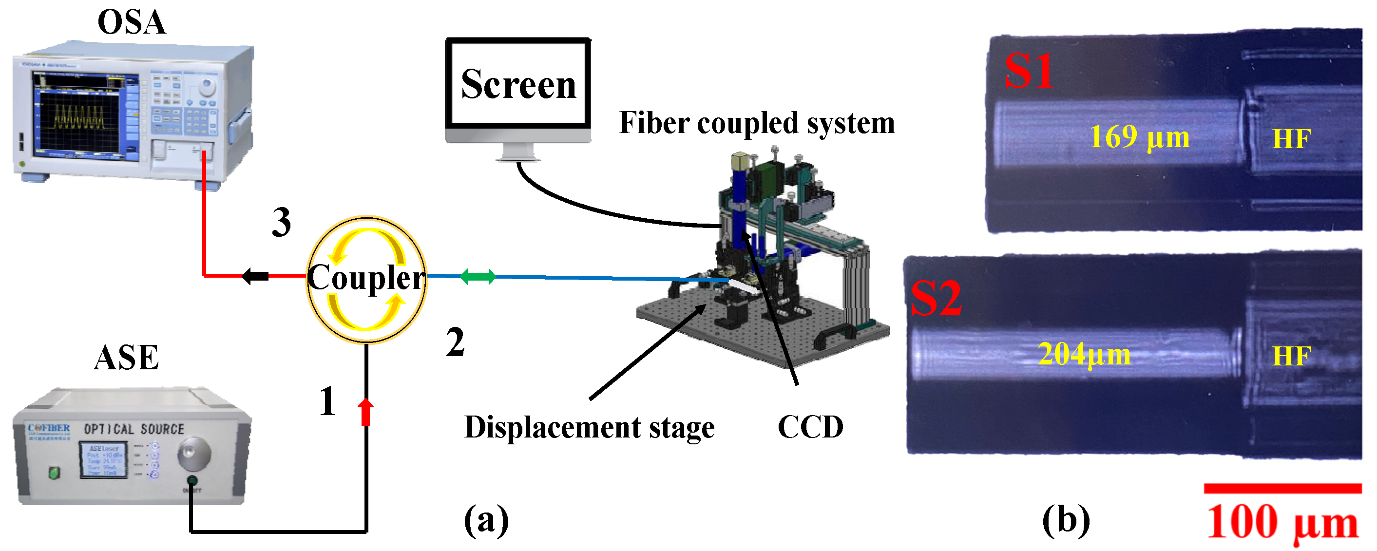 Photonics 08 00304 g007 550