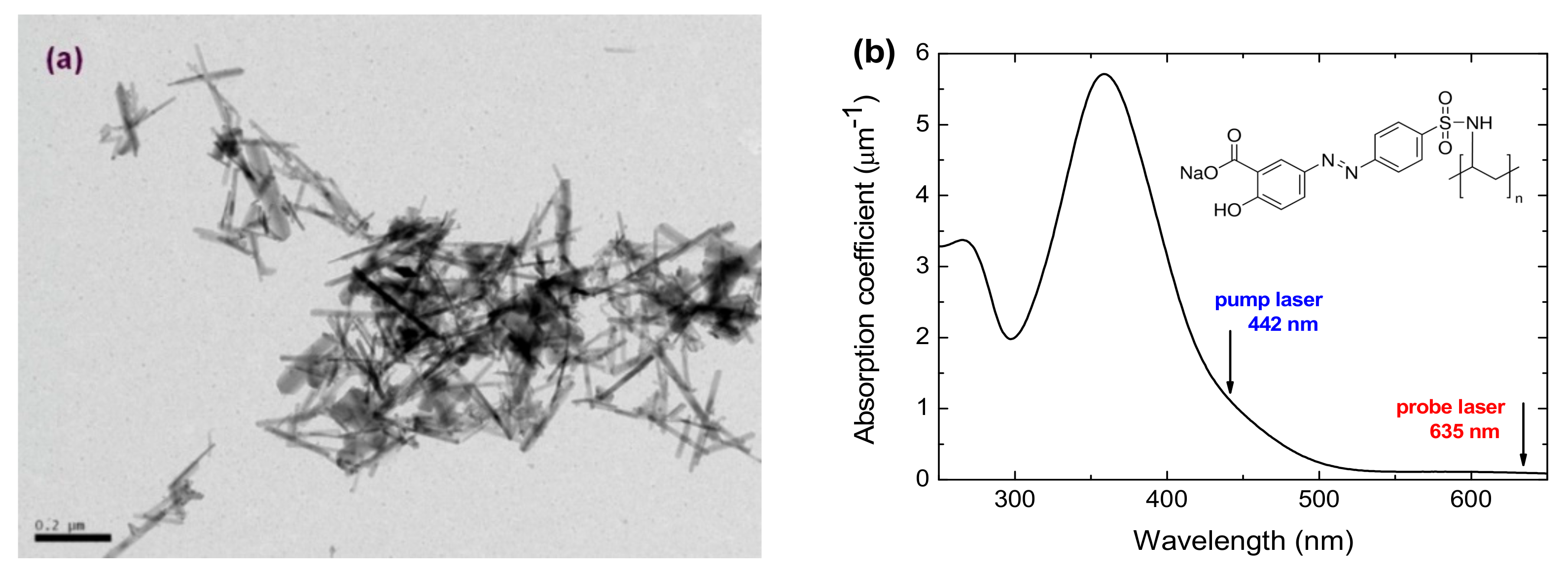 Photonics 08 00306 g002