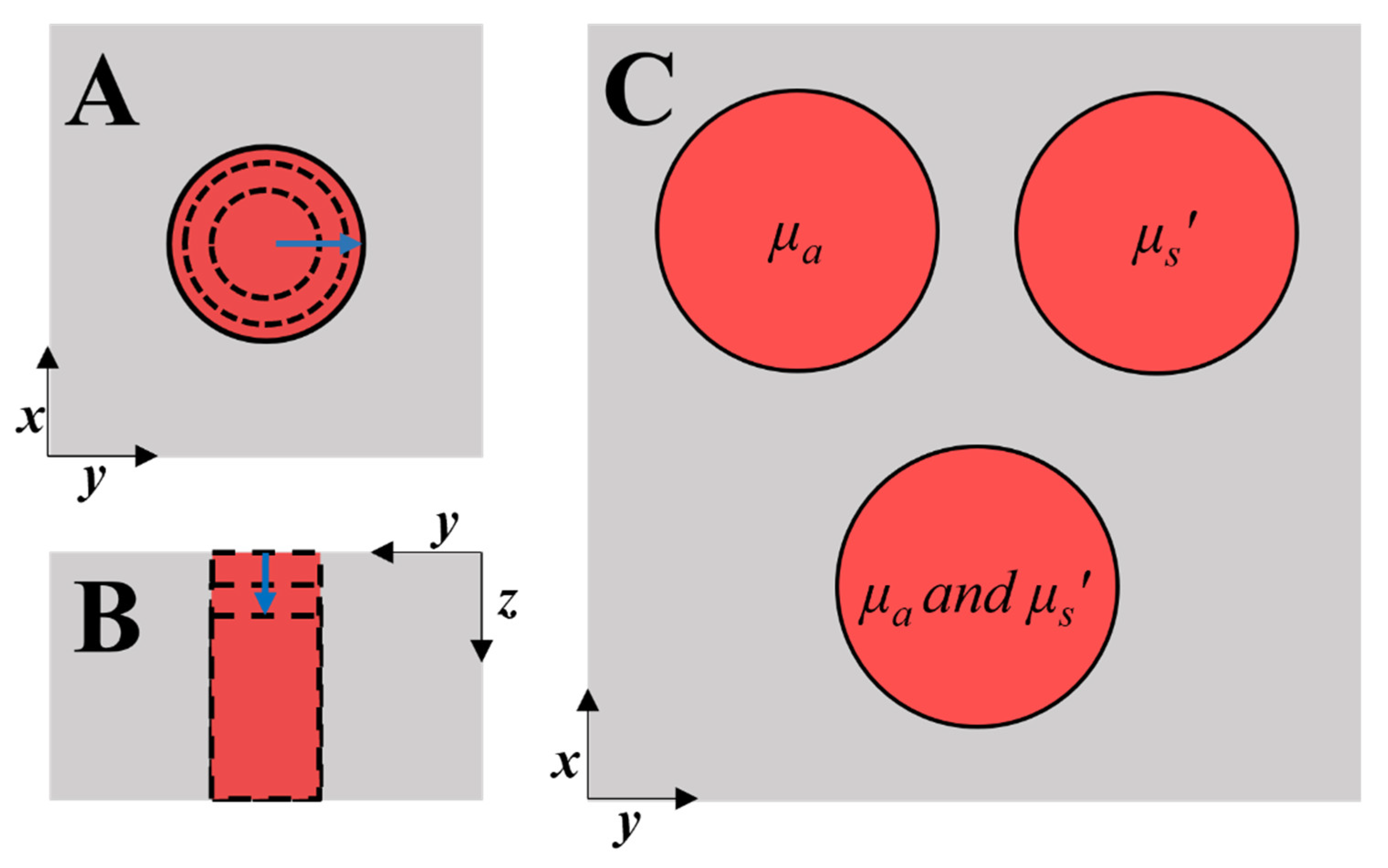 Photonics 08 00310 g006 550