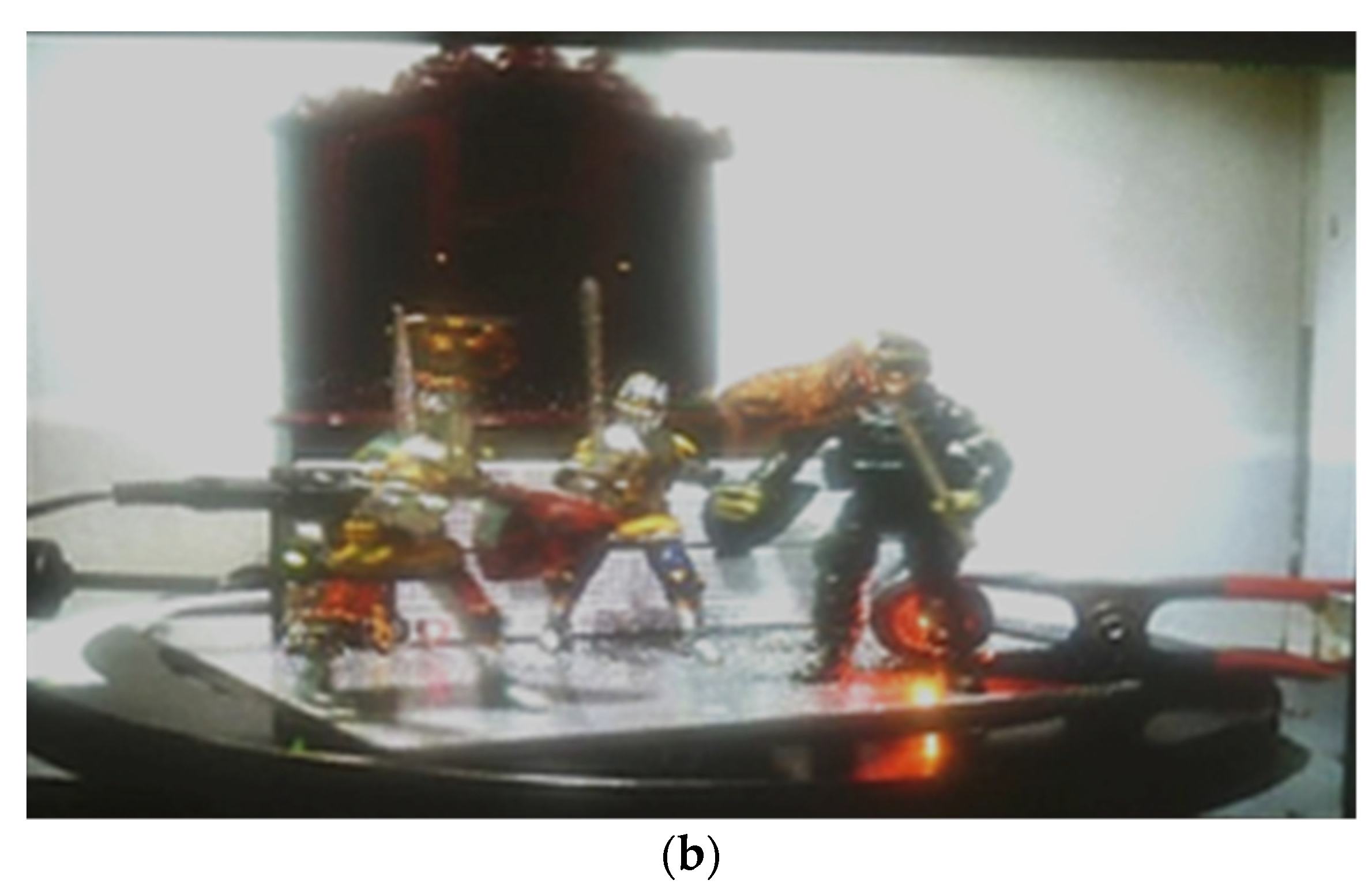 Photonics 08 00331 g005b