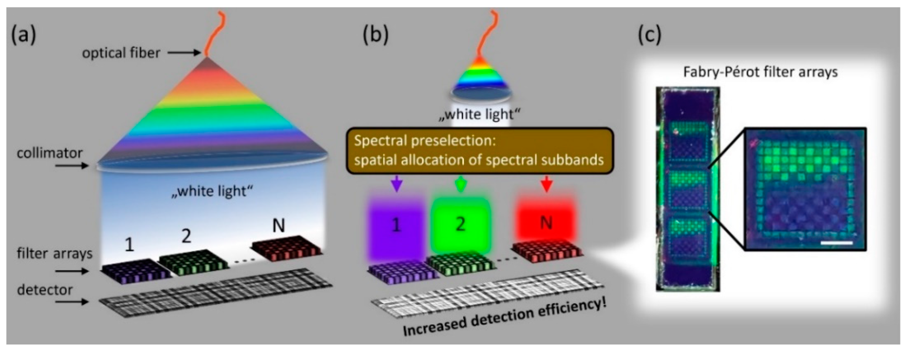 Photonics 08 00332 g008