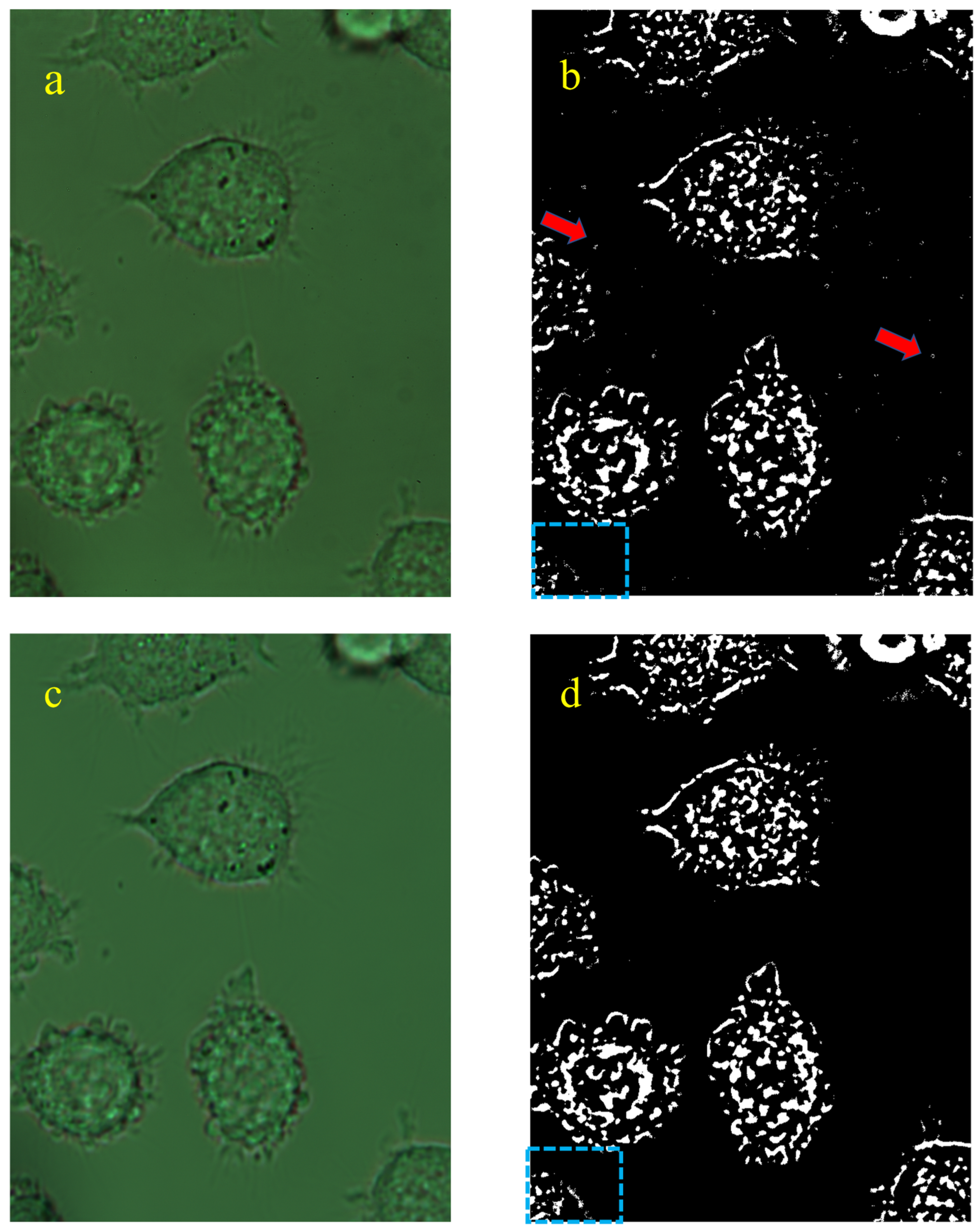 Photonics 08 00333 g010 550