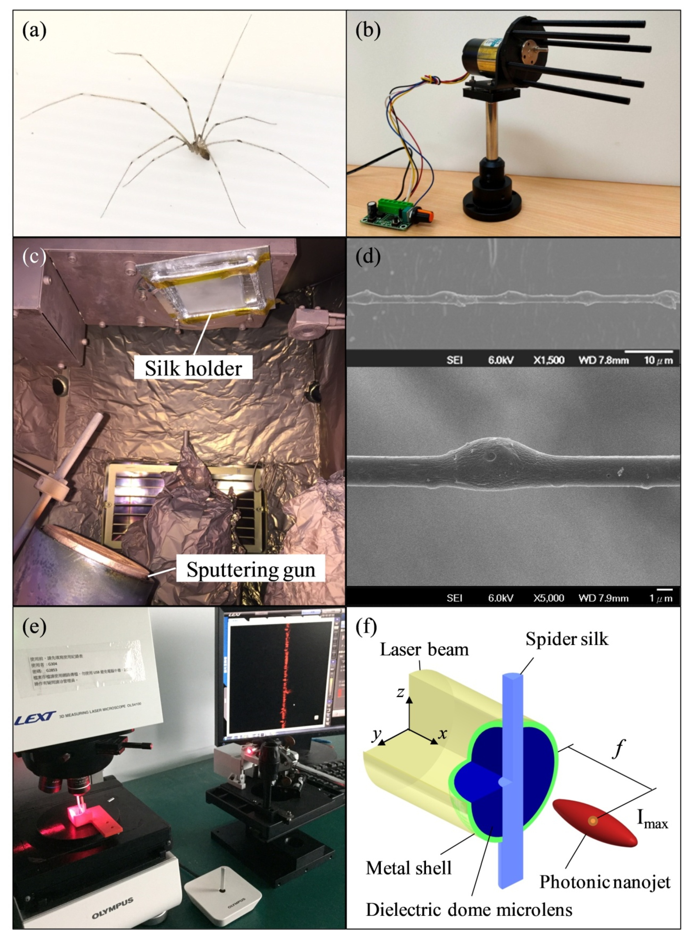 Photonics 08 00334 g001 550