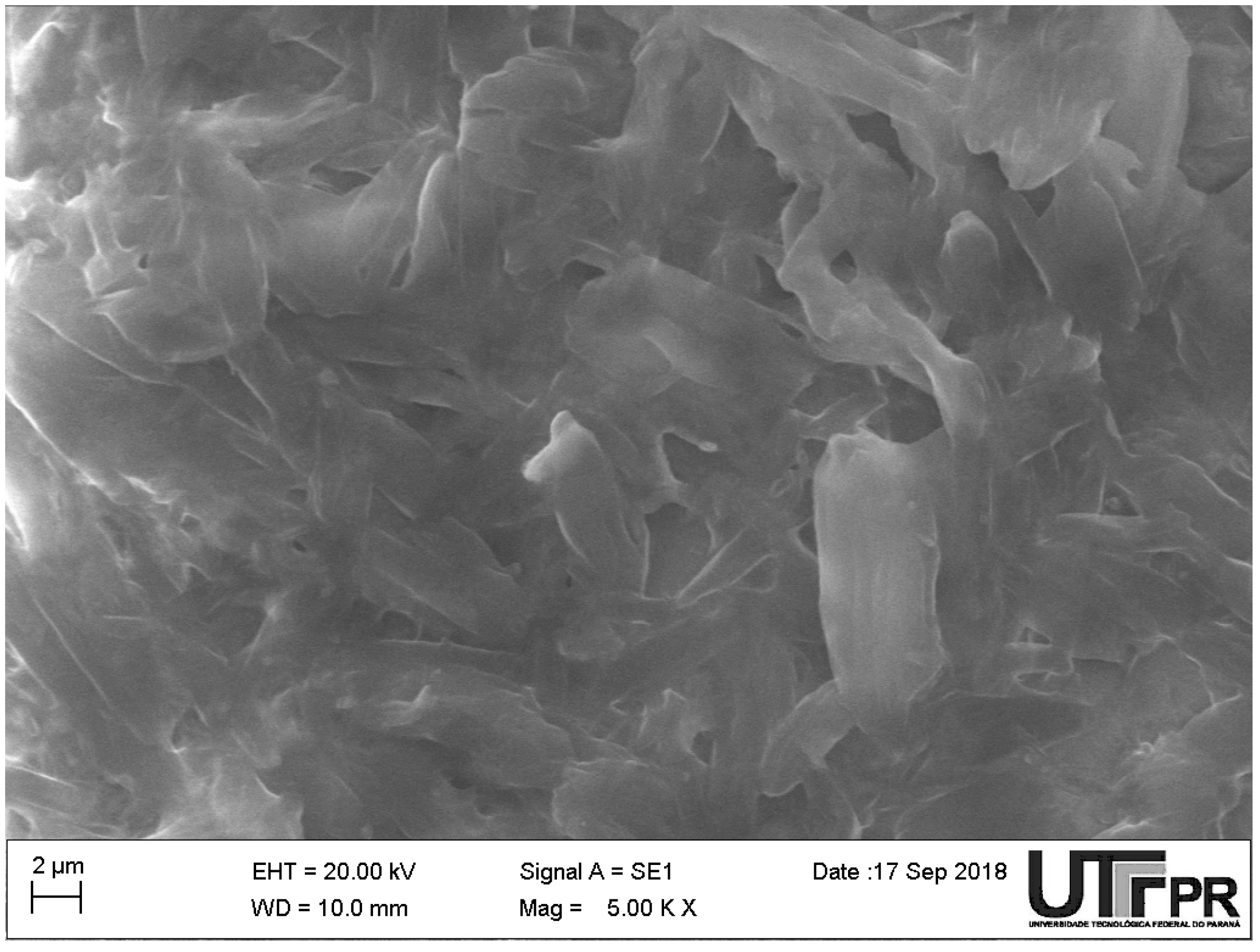 Photonics 08 00346 g002 550