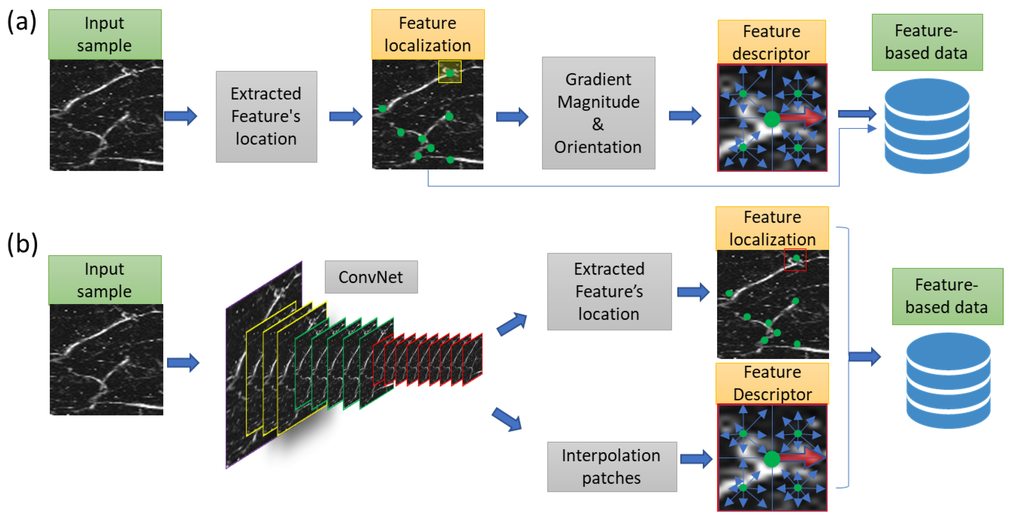 Photonics 08 00352 g001
