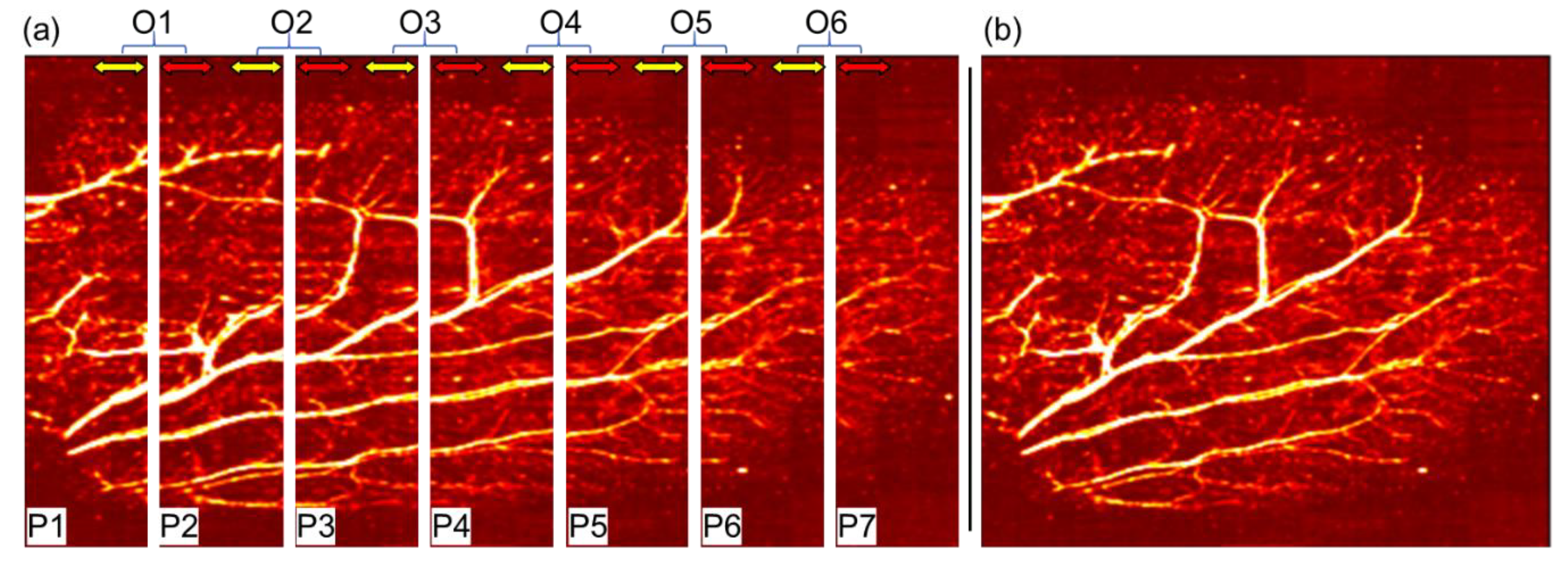 Photonics 08 00352 g004