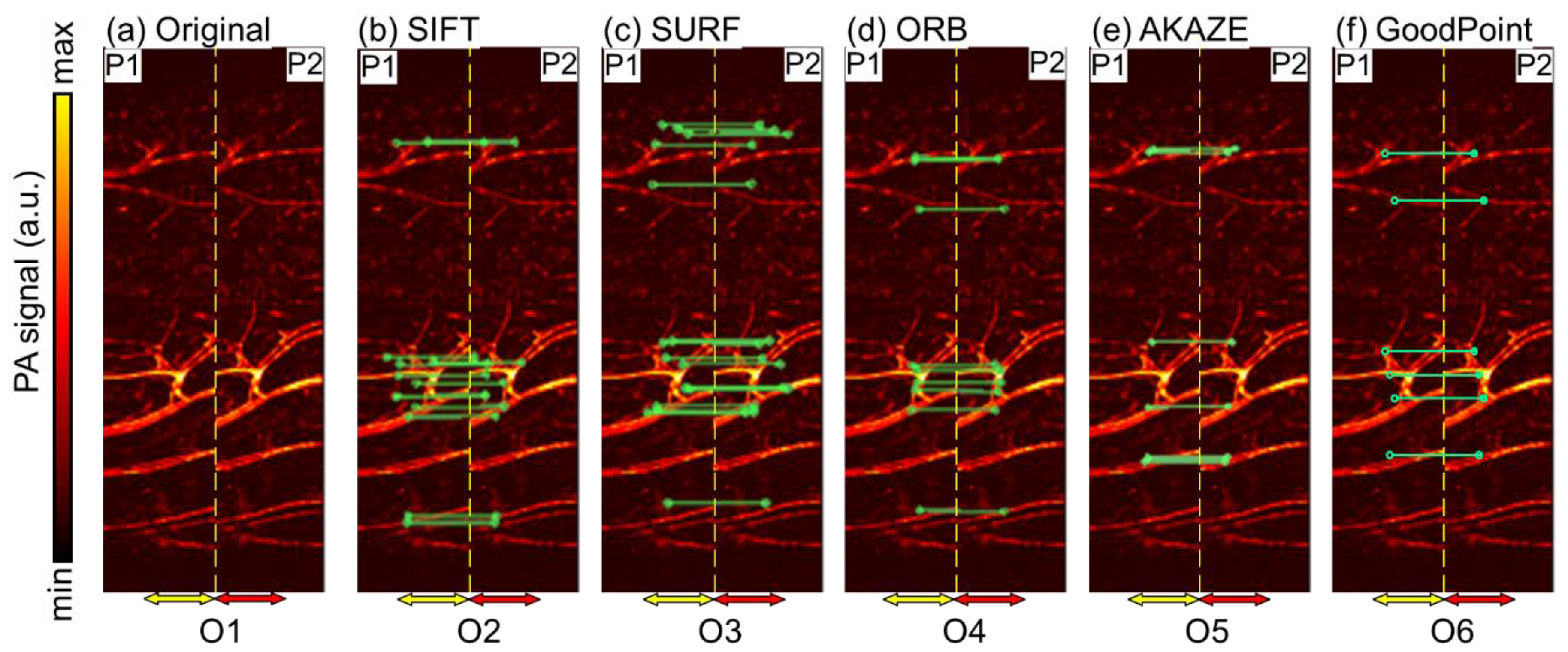 Photonics 08 00352 g005