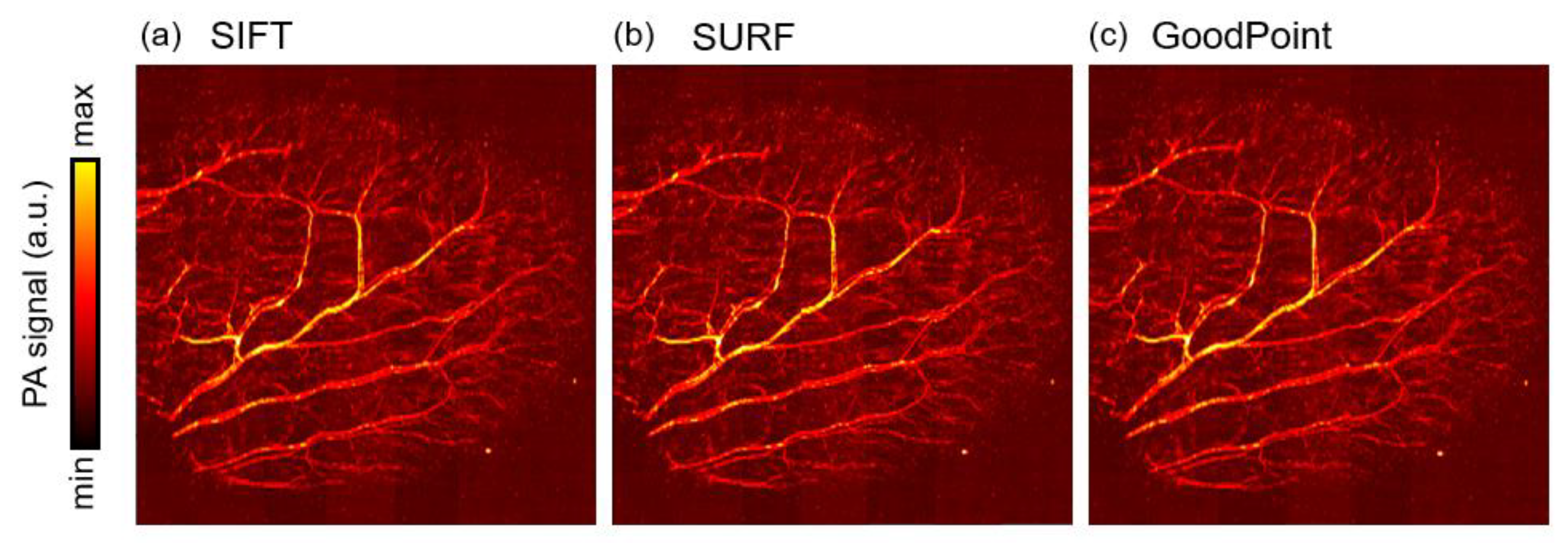 Photonics 08 00352 g007