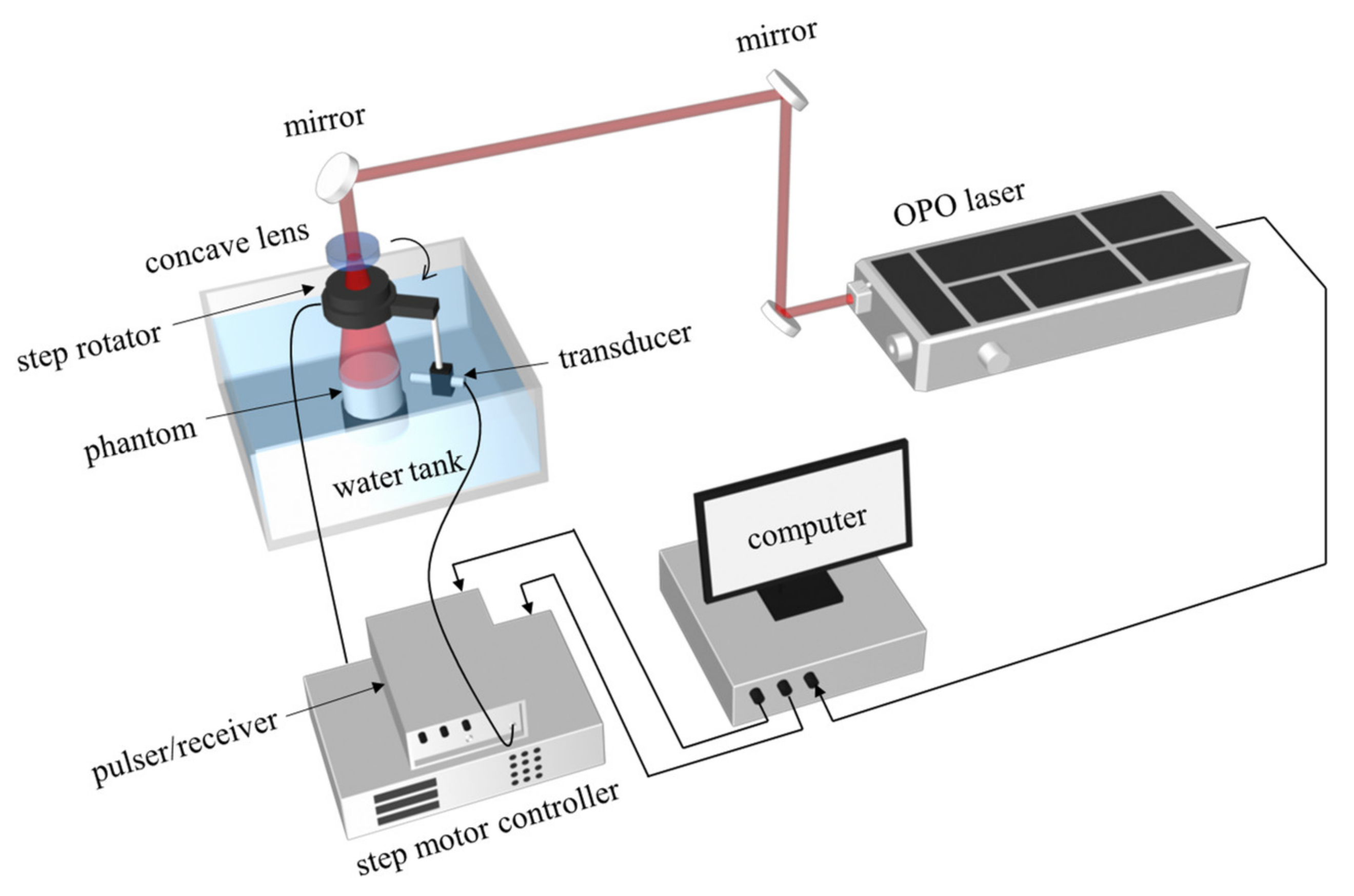 Photonics 08 00356 g003 550