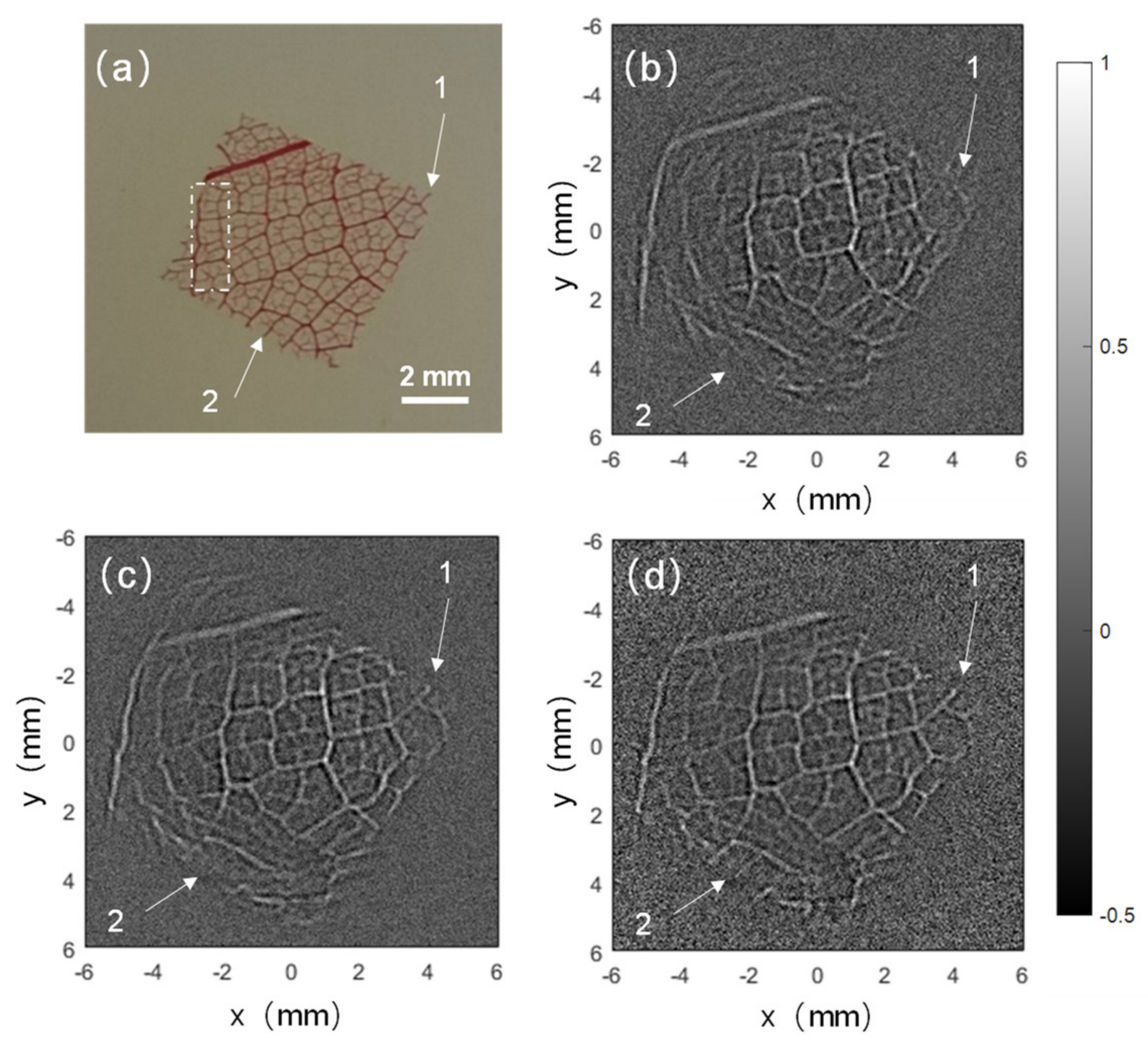 Photonics 08 00356 g008 550