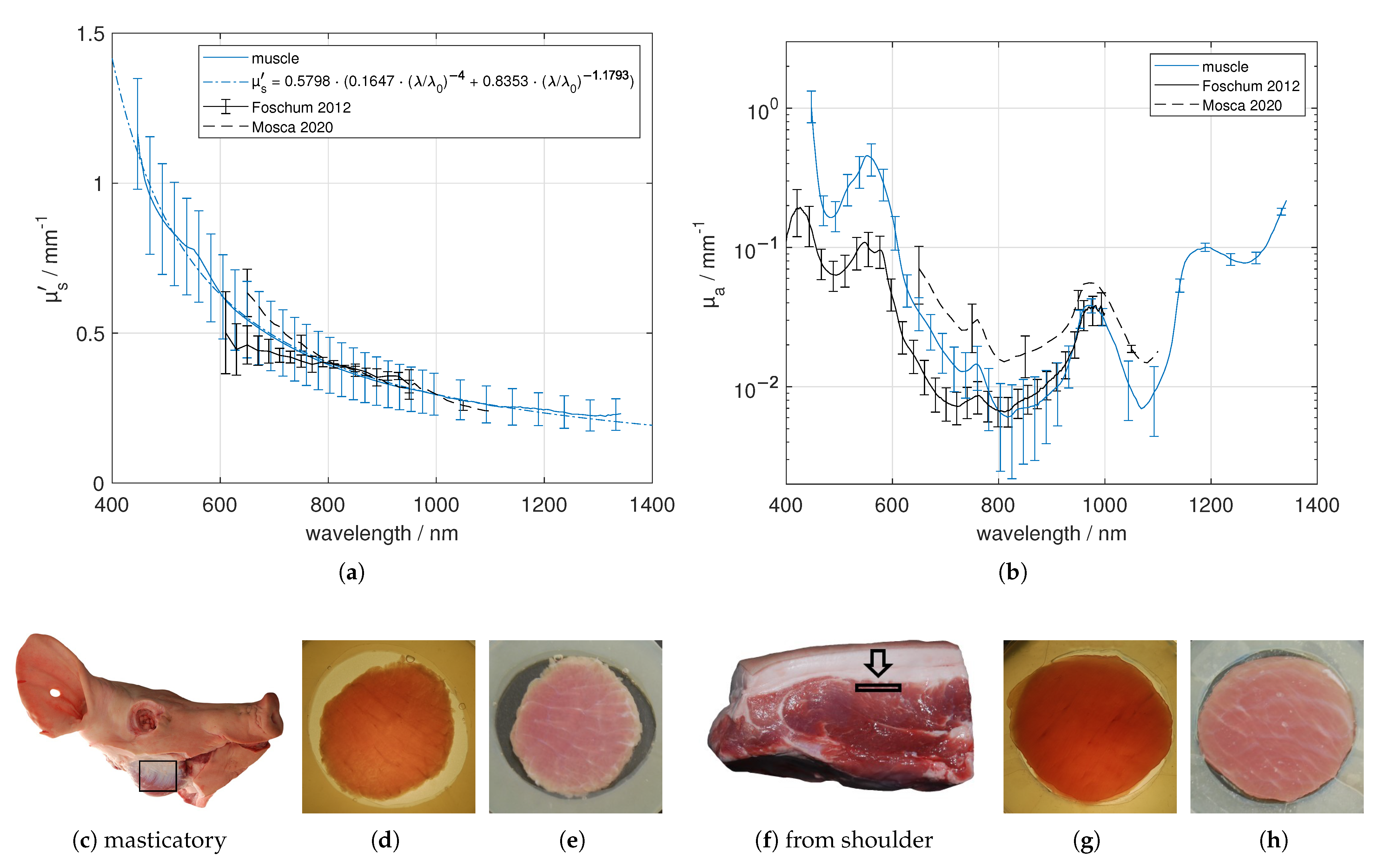 Photonics 08 00365 g006 550