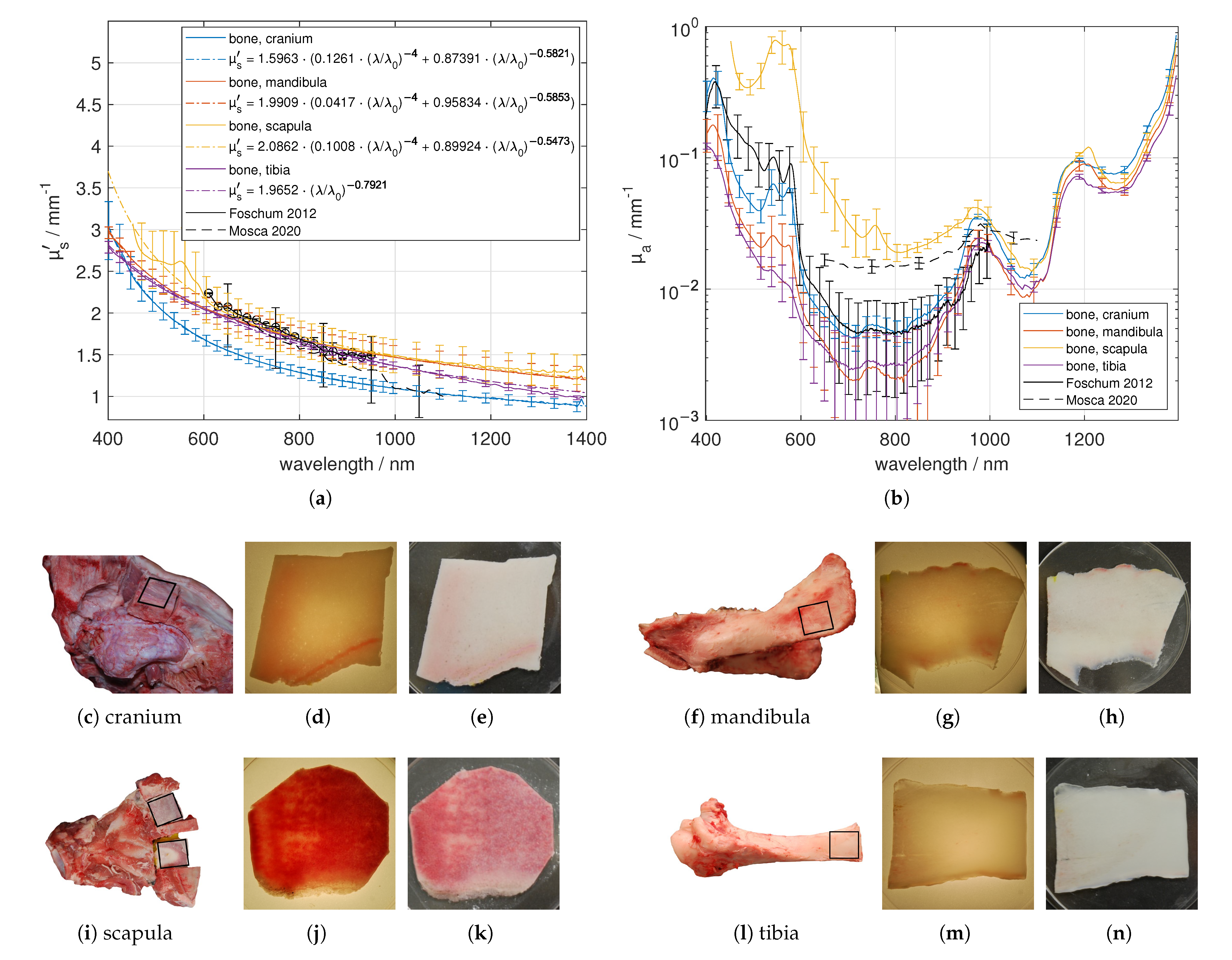 Photonics 08 00365 g007 550