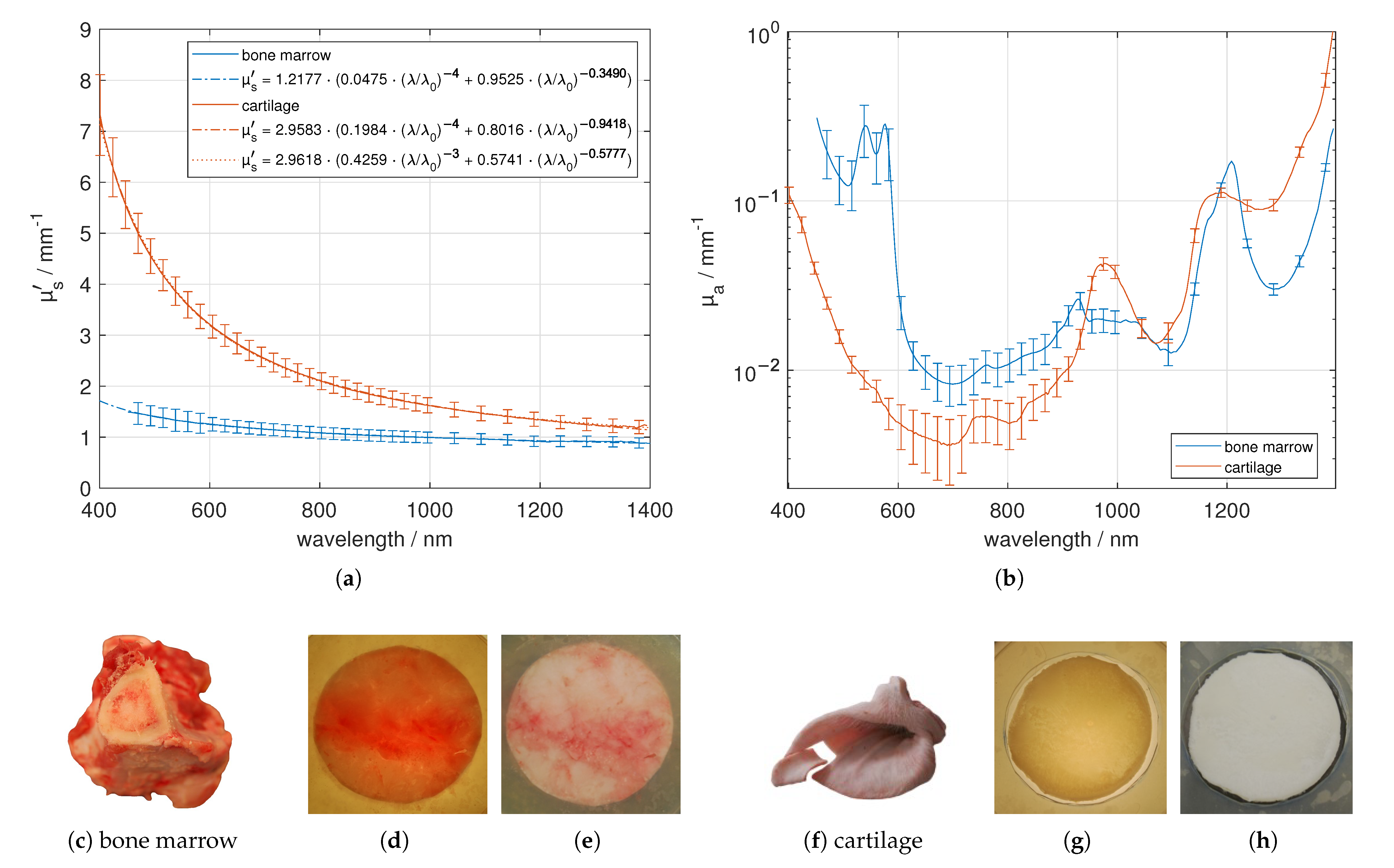 Photonics 08 00365 g008 550