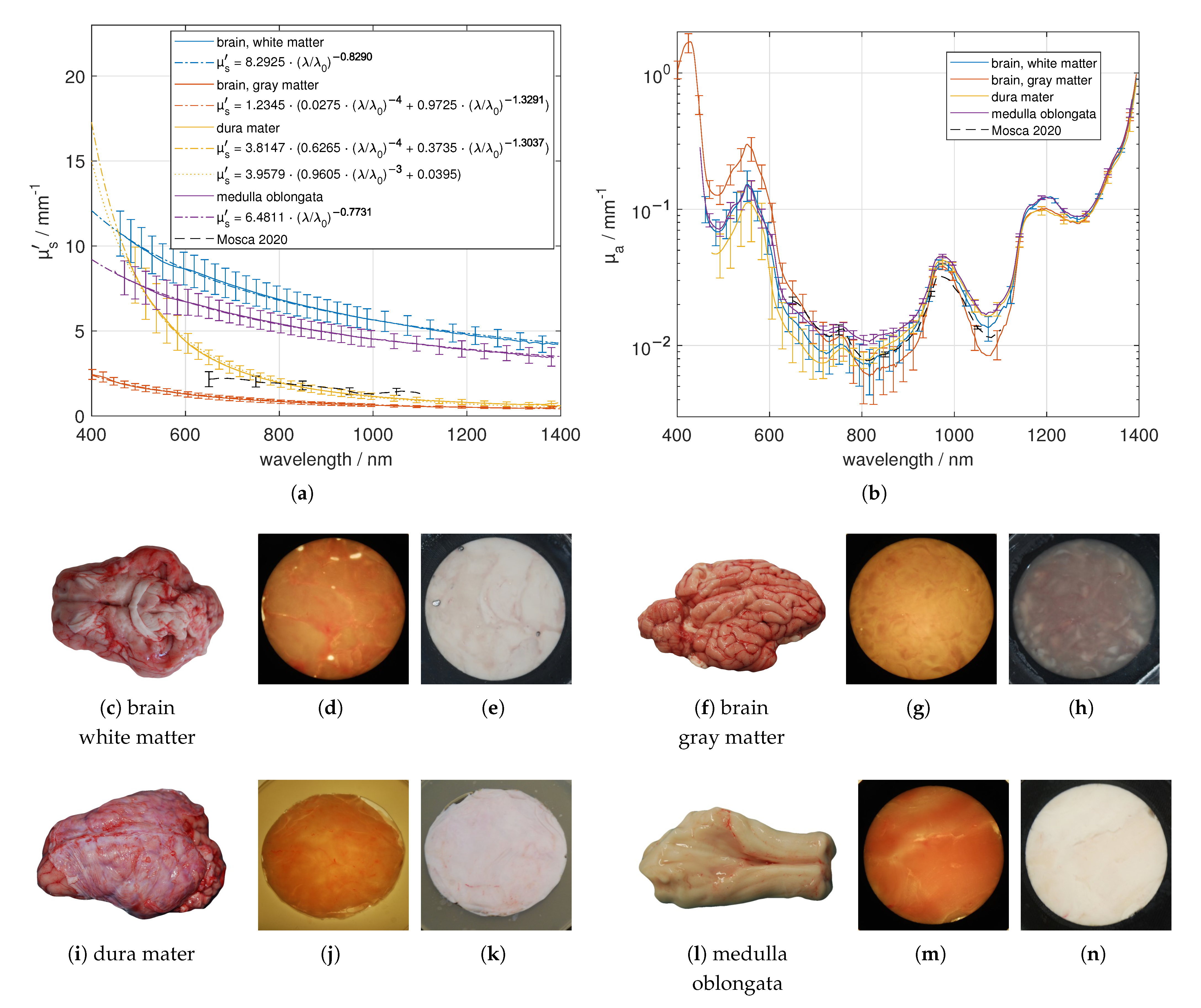Photonics 08 00365 g009 550