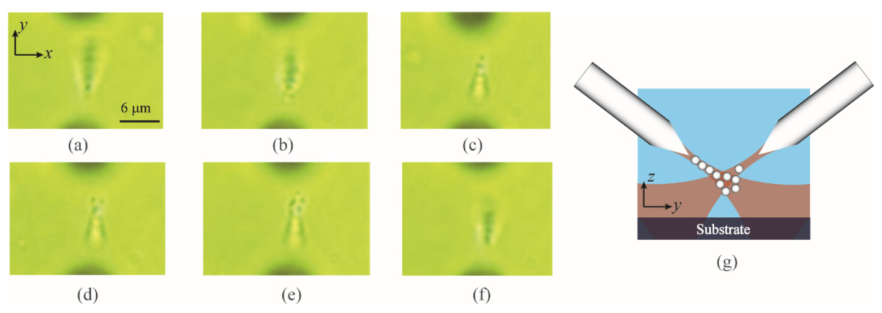 Photonics 08 00367 g006