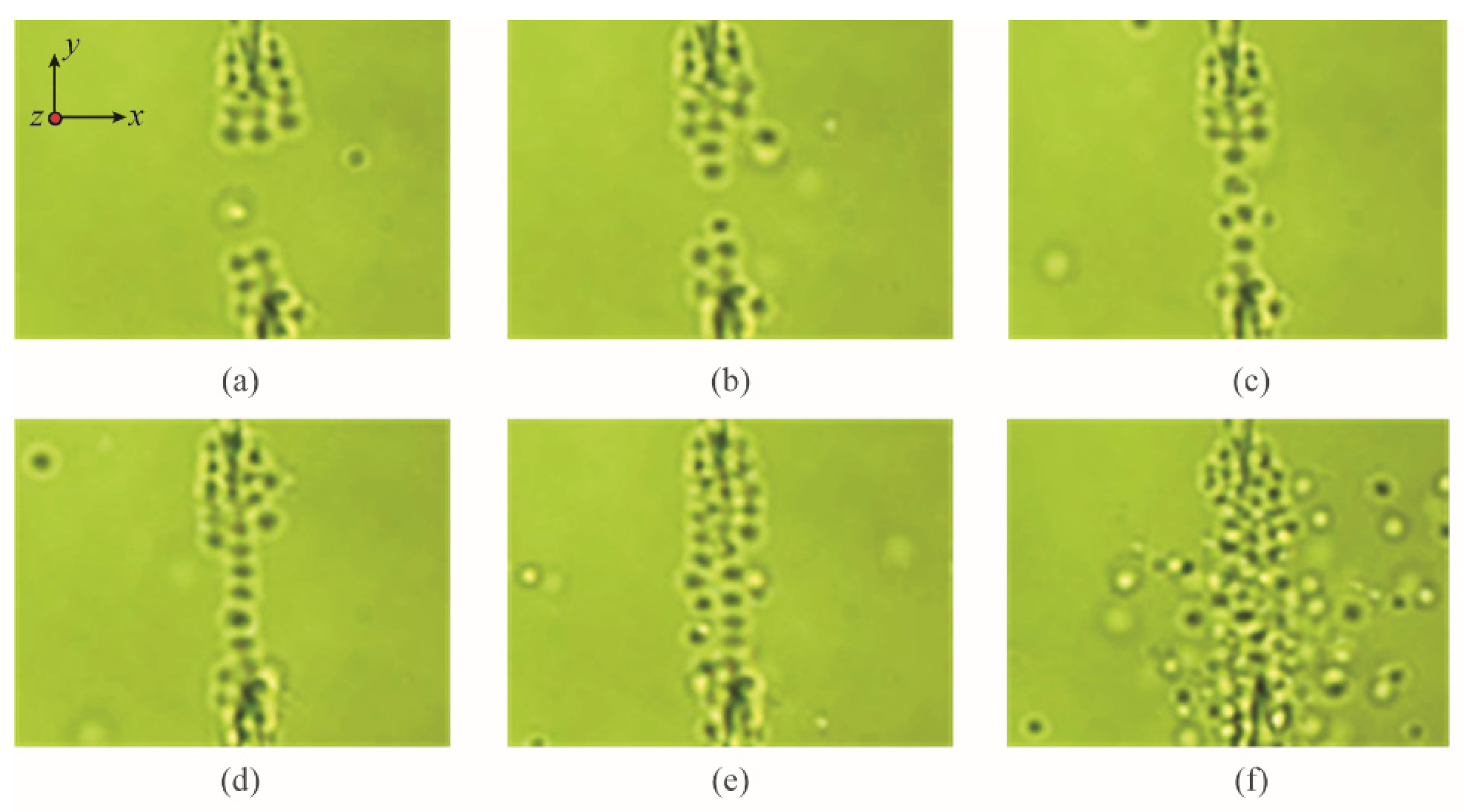 Photonics 08 00367 g007