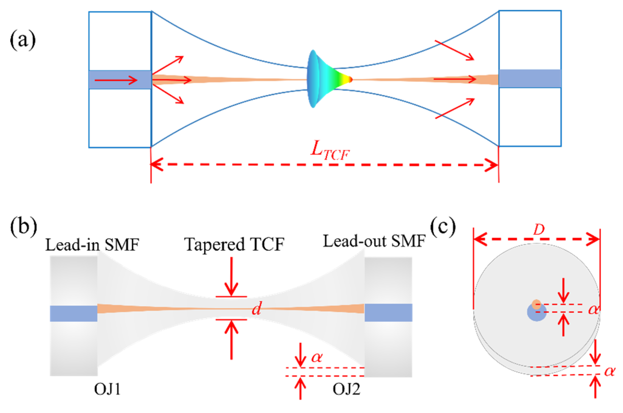 Photonics 08 00372 g001