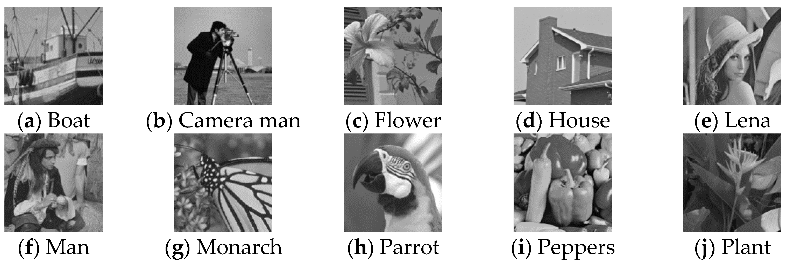 Photonics 08 00376 g003
