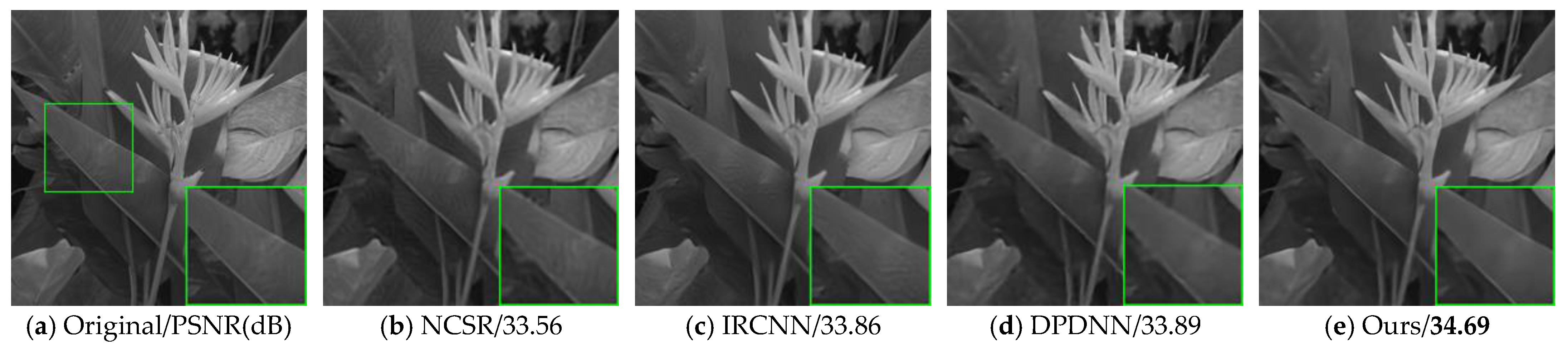 Photonics 08 00376 g008