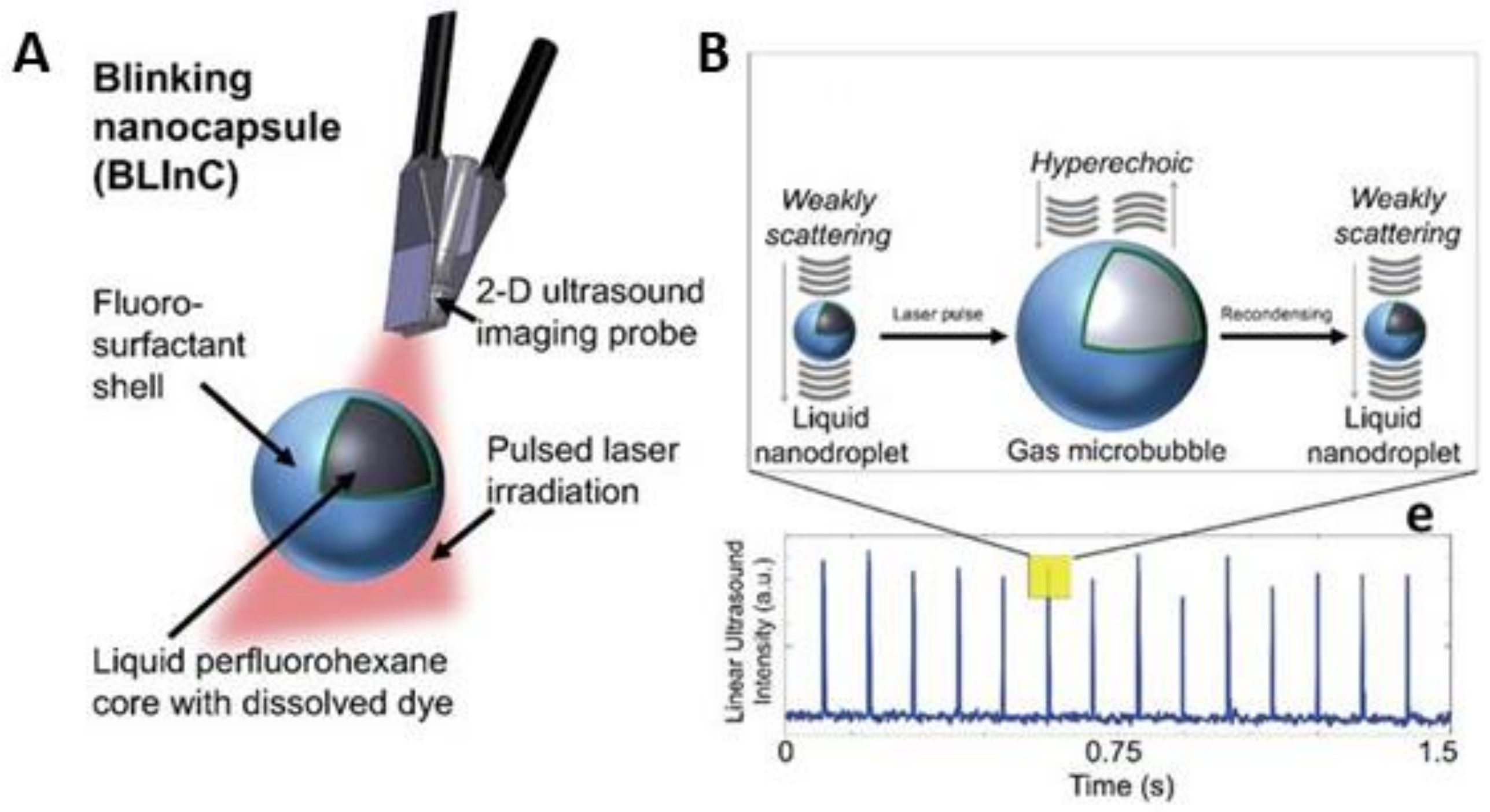 Photonics 08 00405 g001