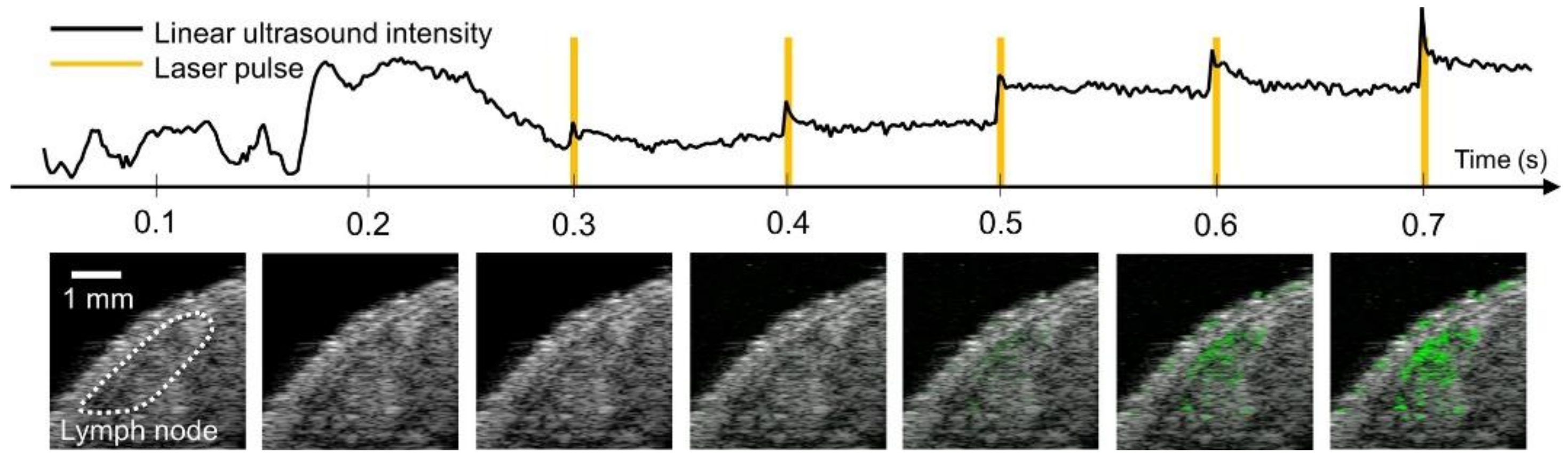 Photonics 08 00405 g004