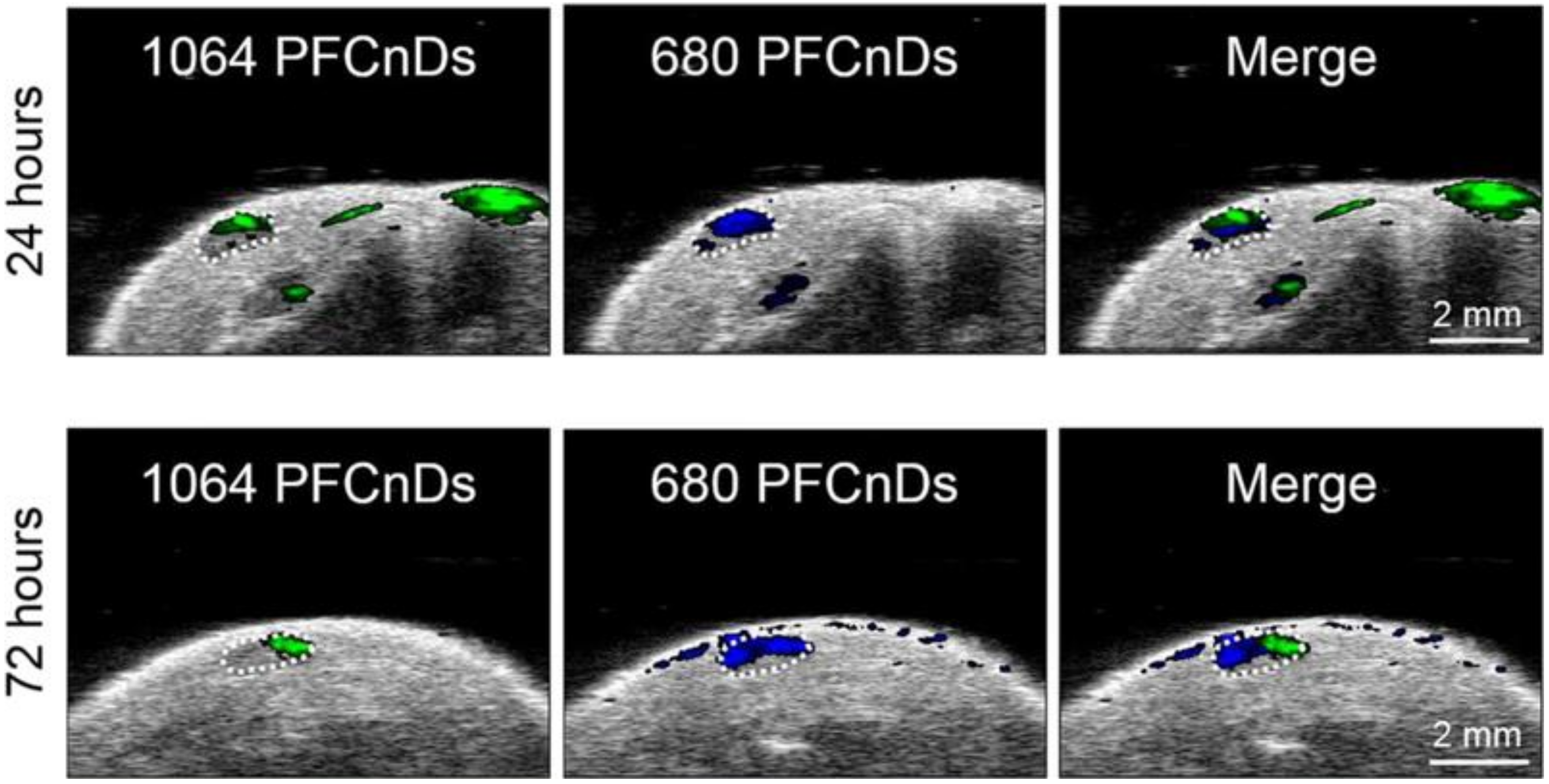 Photonics 08 00405 g008
