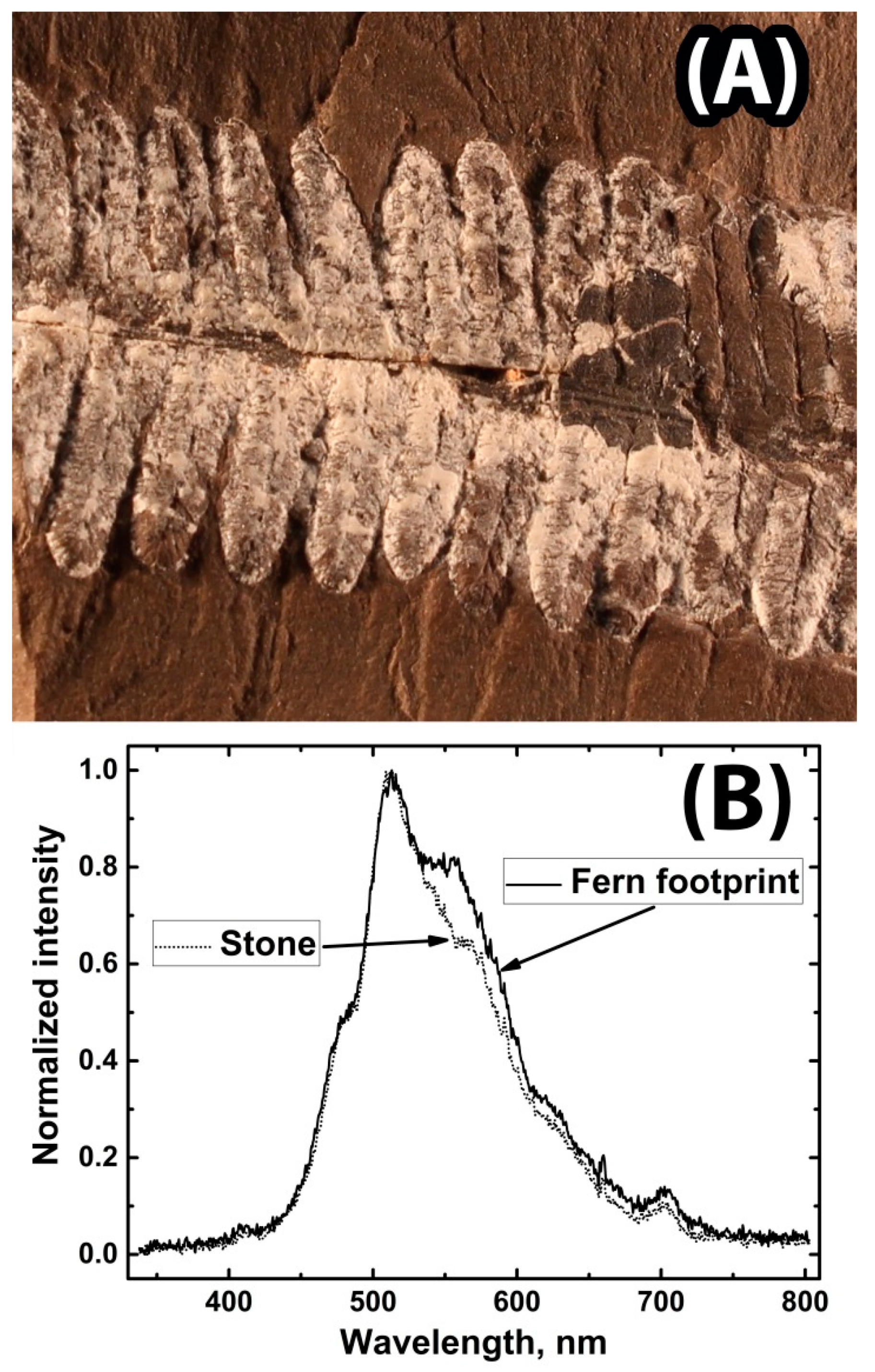Photonics 08 00411 g003 550