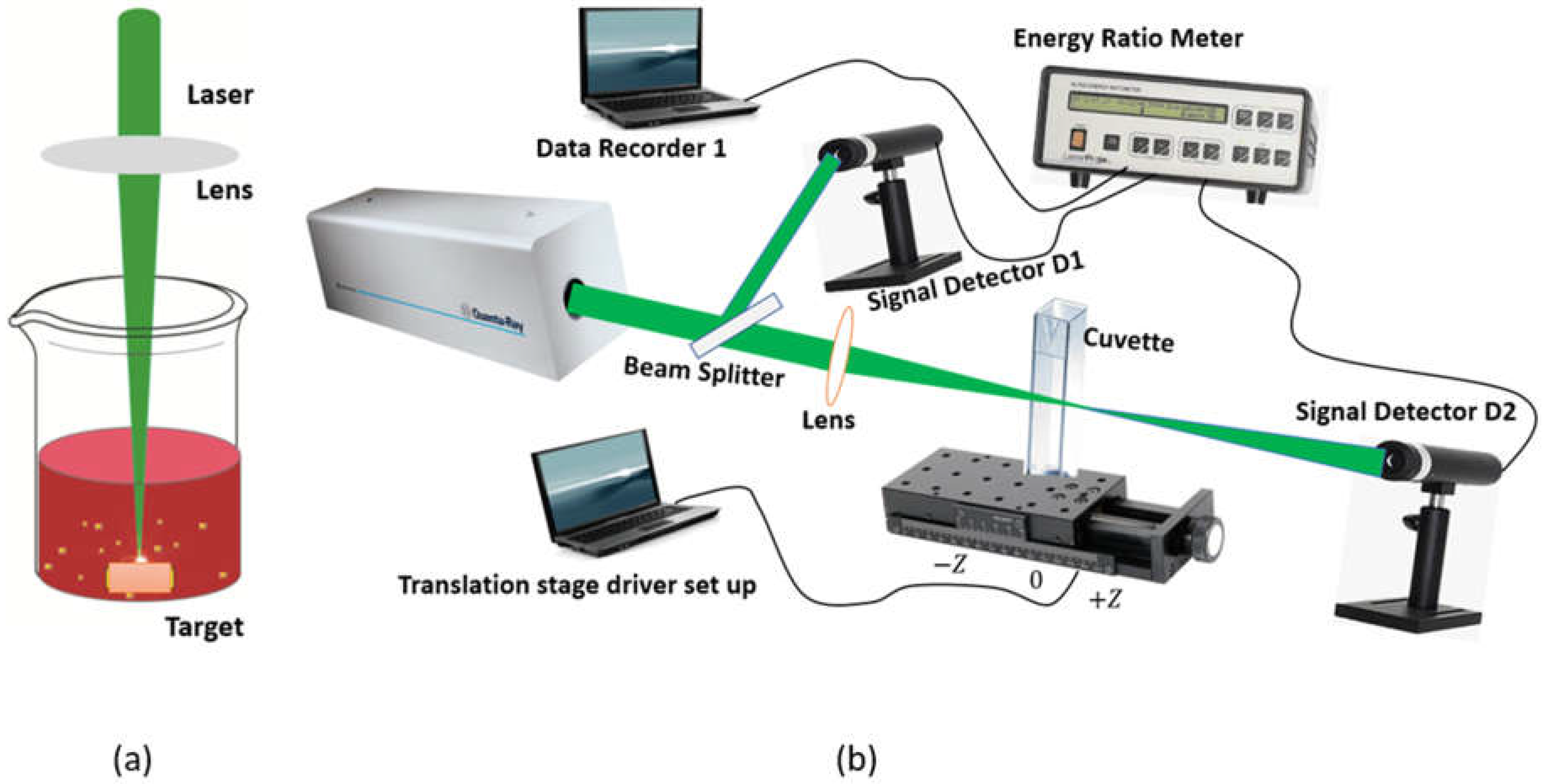 Photonics 08 00413 g001