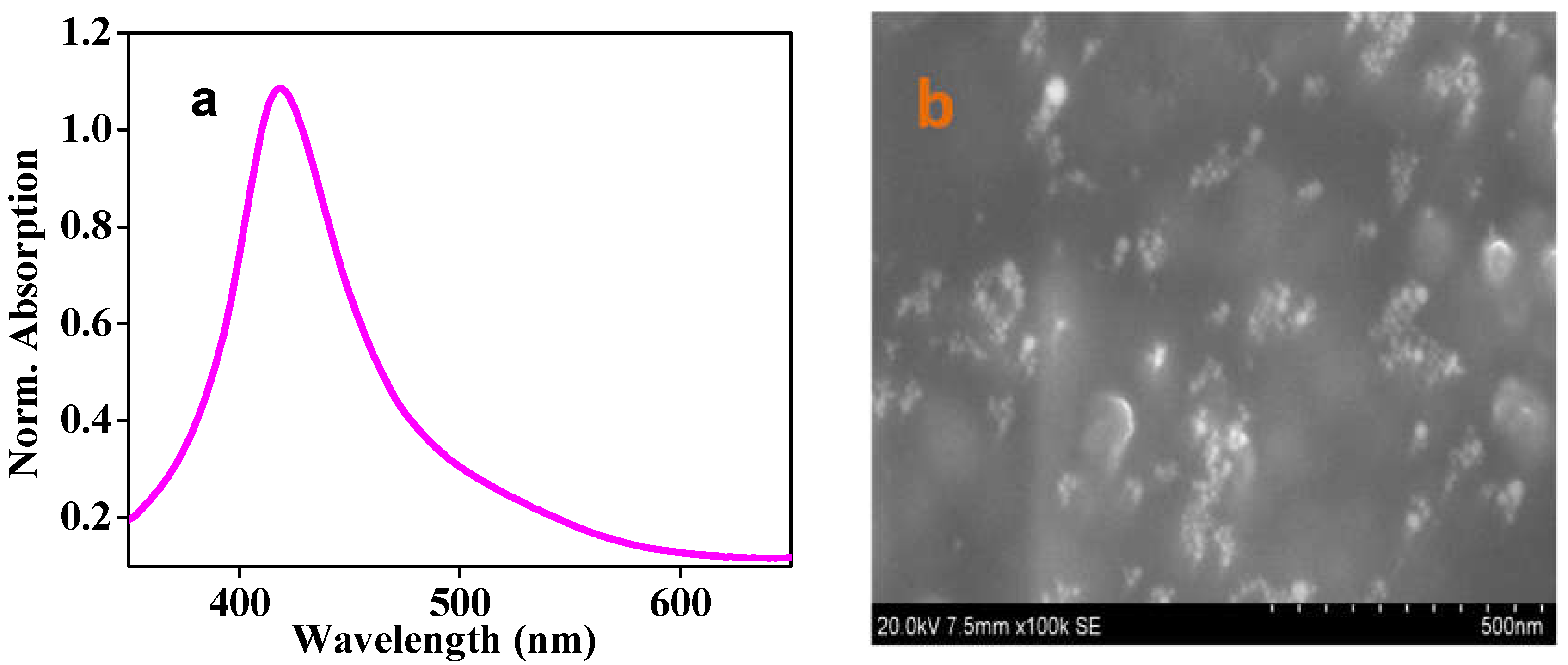 Photonics 08 00413 g002