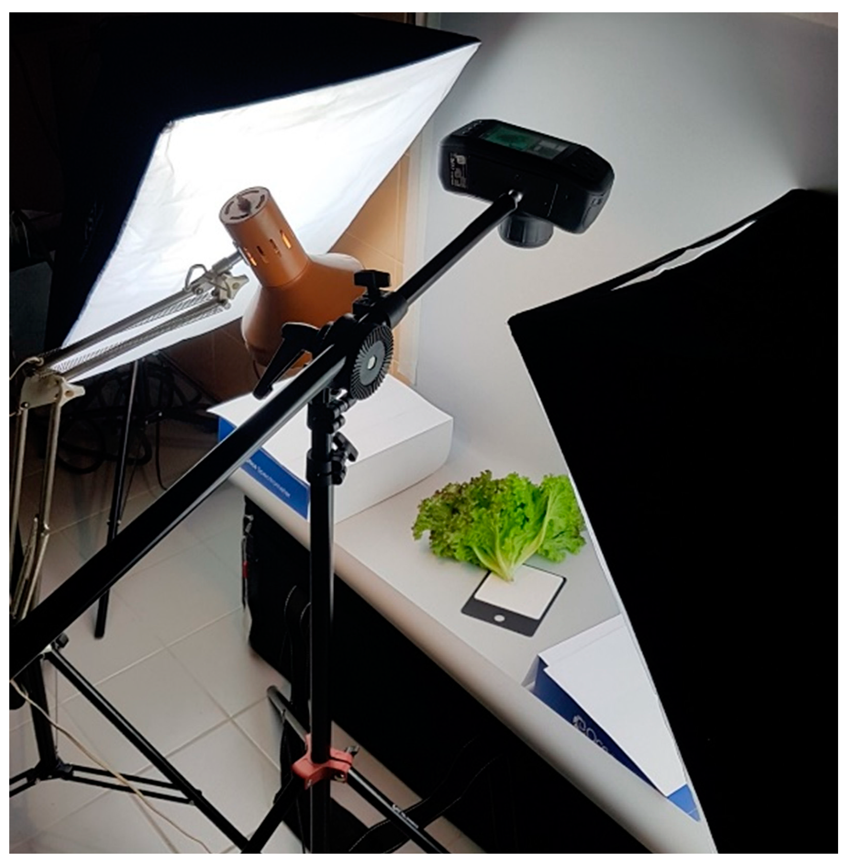 Photonics 08 00425 g002