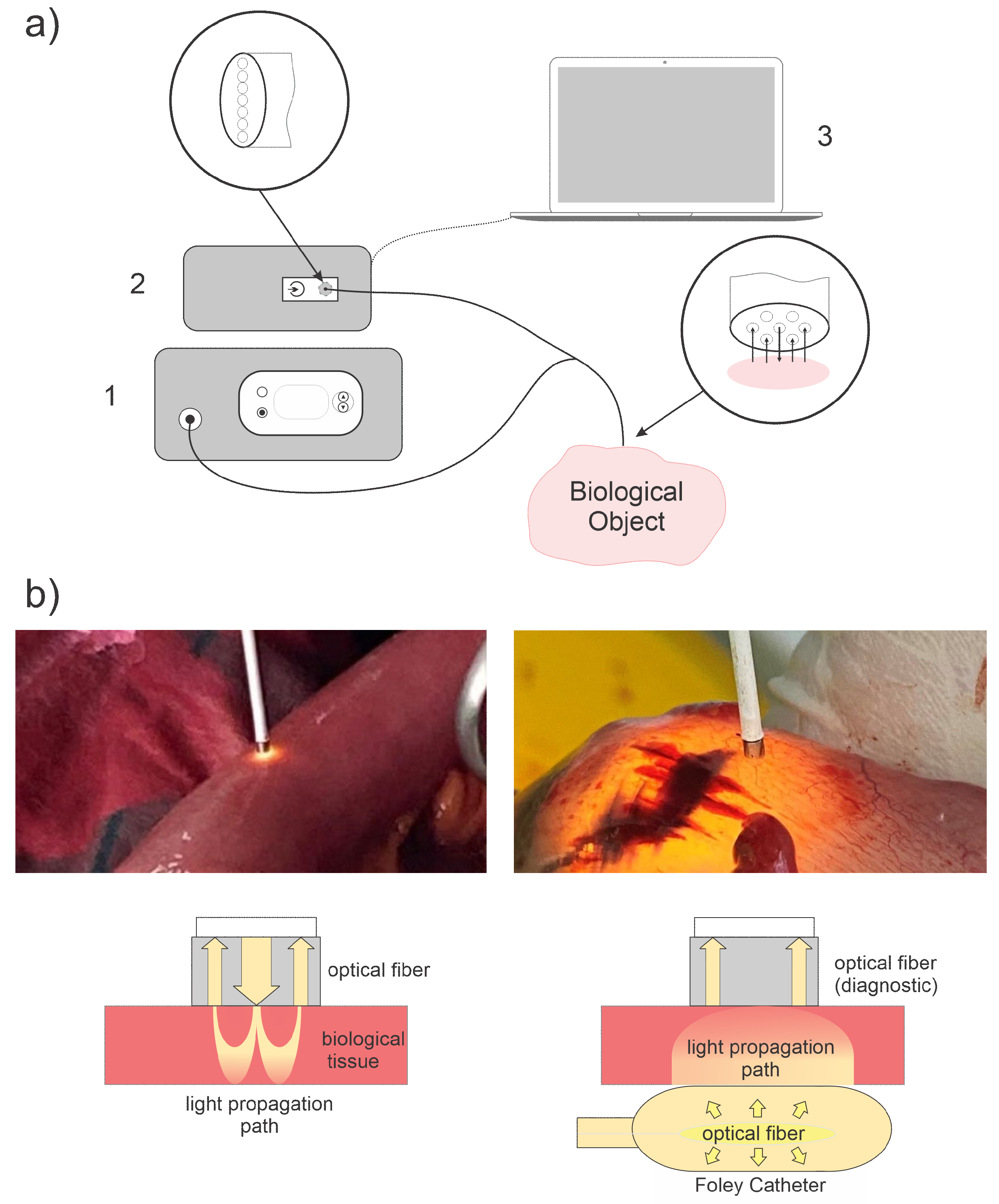 Photonics 08 00427 g001