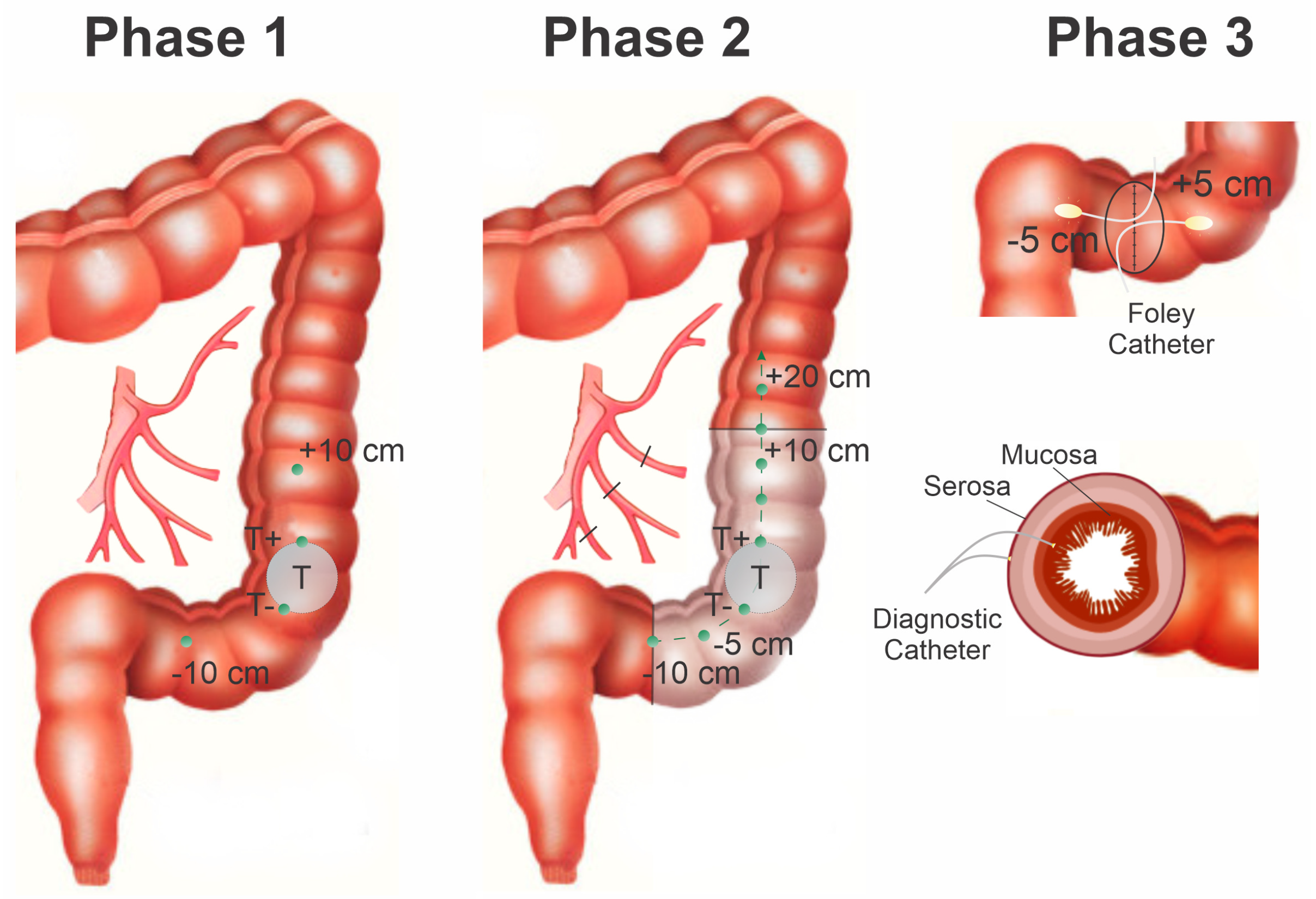 Photonics 08 00427 g002