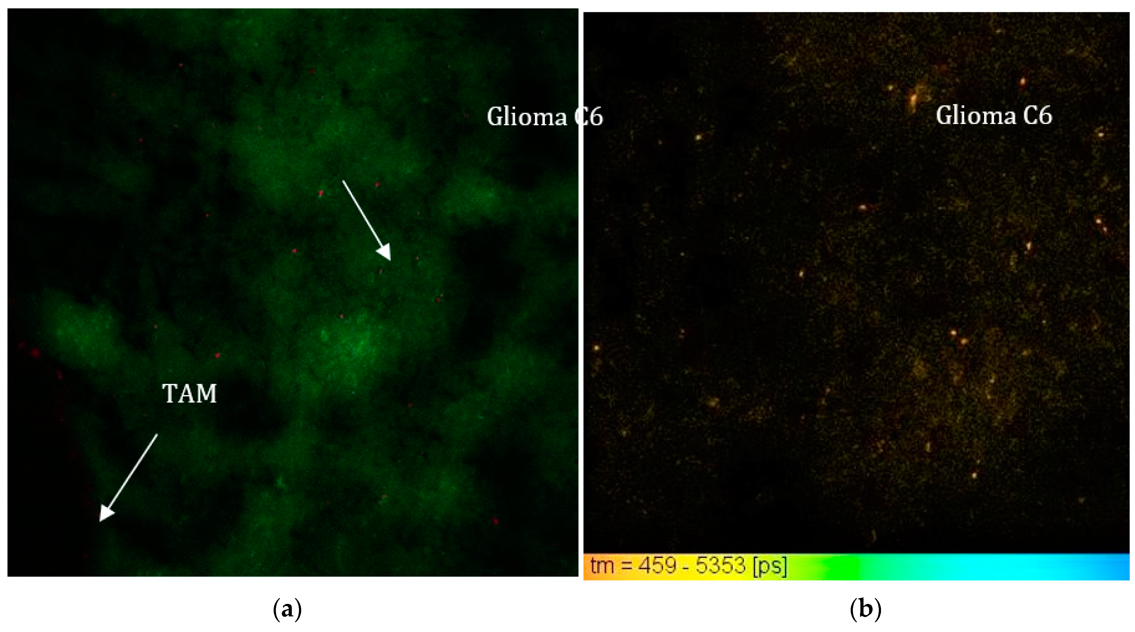 Photonics 08 00462 g004 550