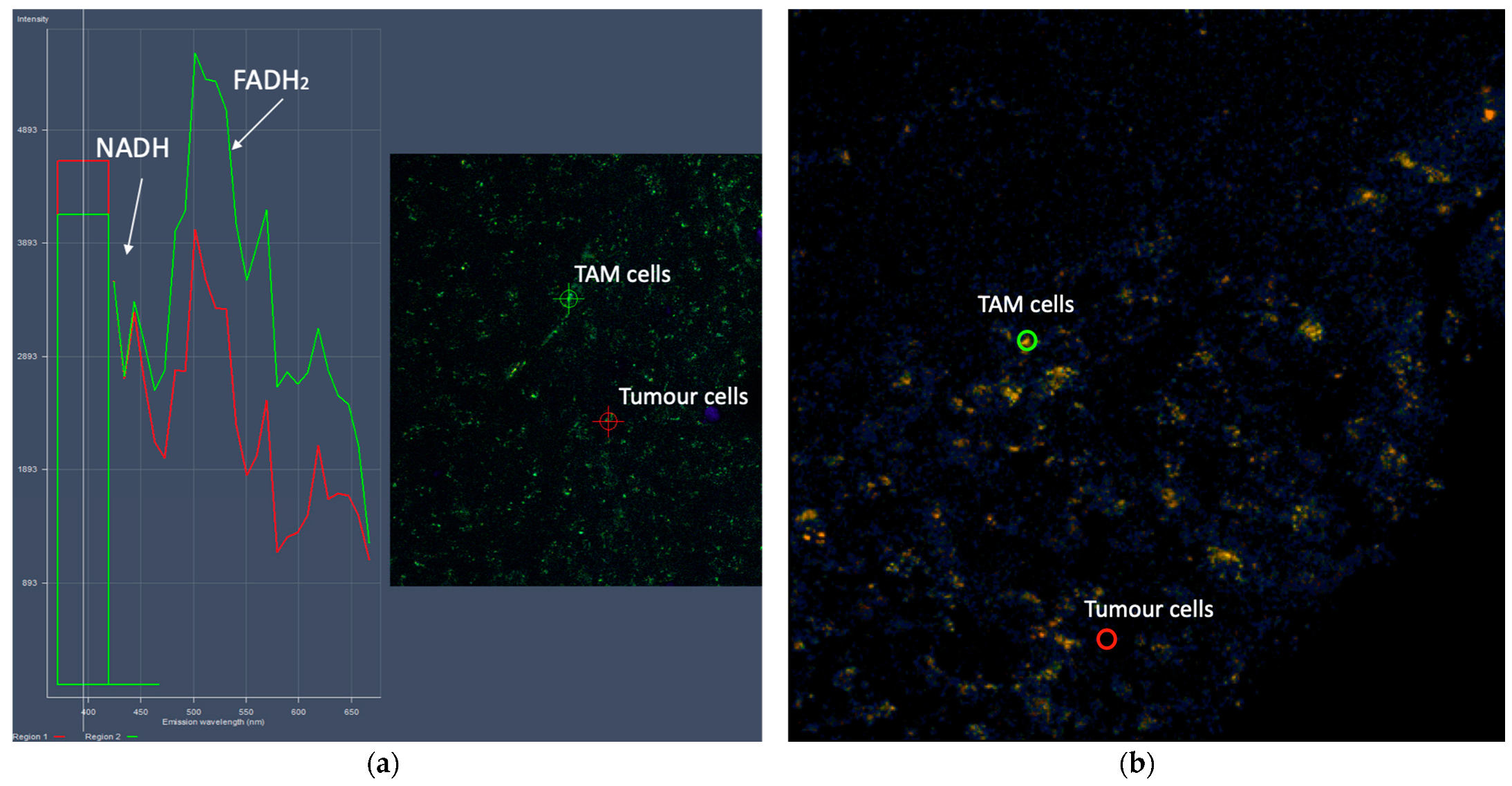 Photonics 08 00462 g005 550