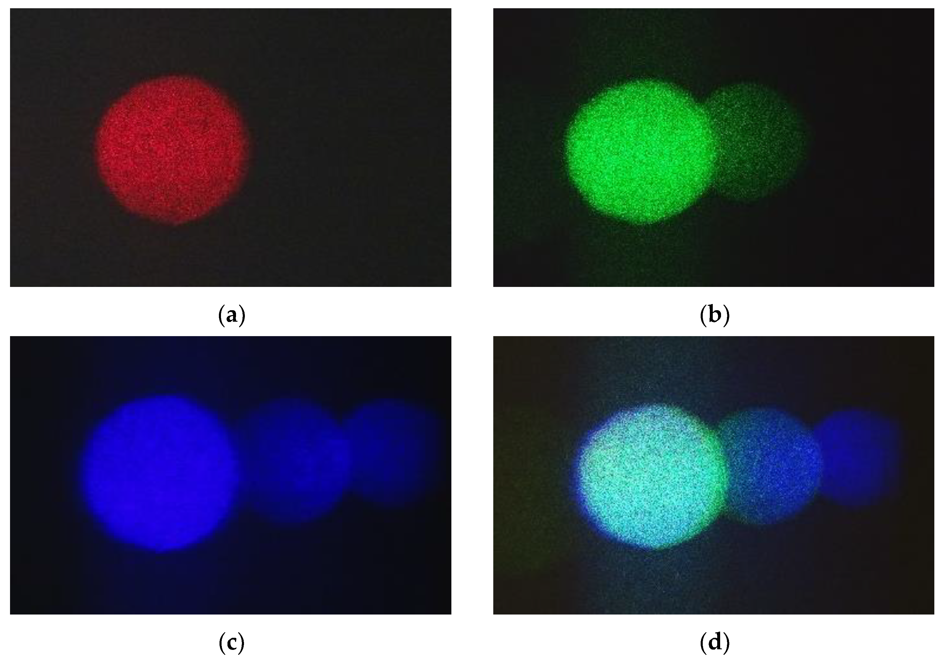 Photonics 08 00465 g010