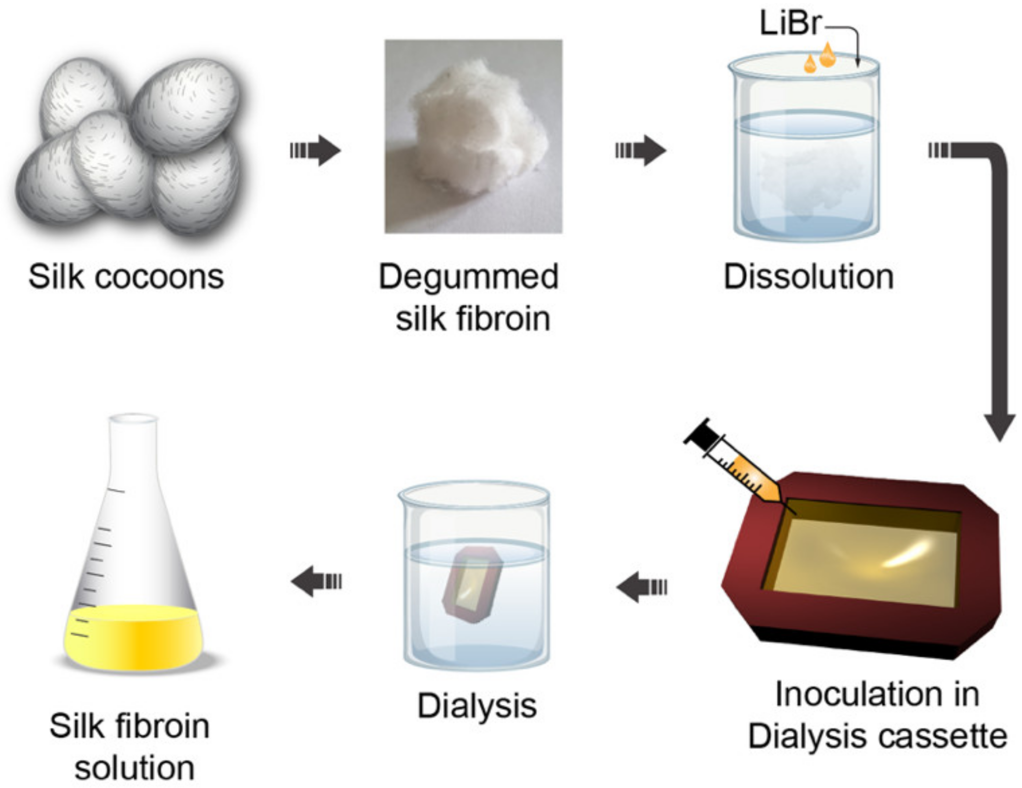 Photonics 08 00470 g004
