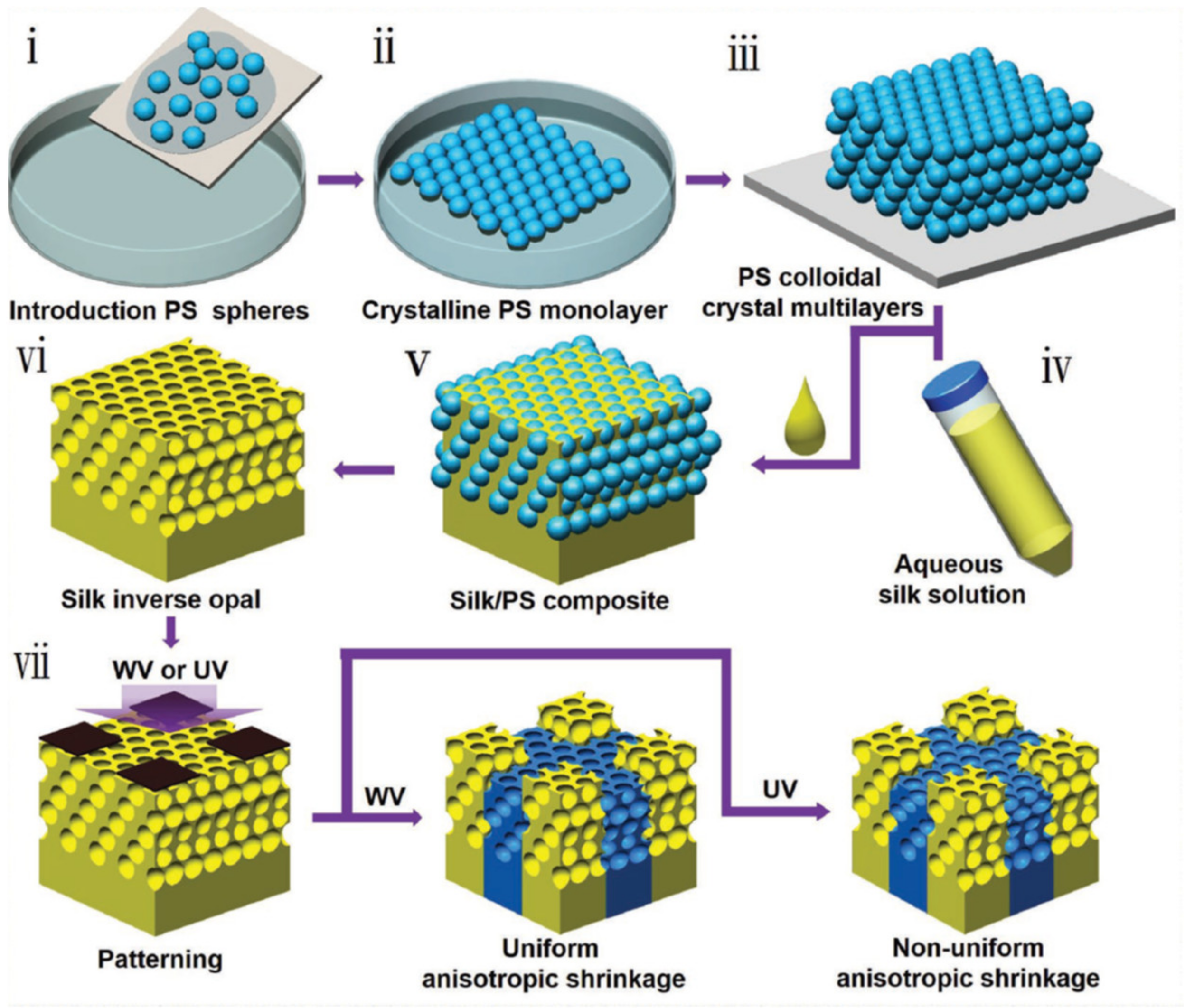 Photonics 08 00470 g005
