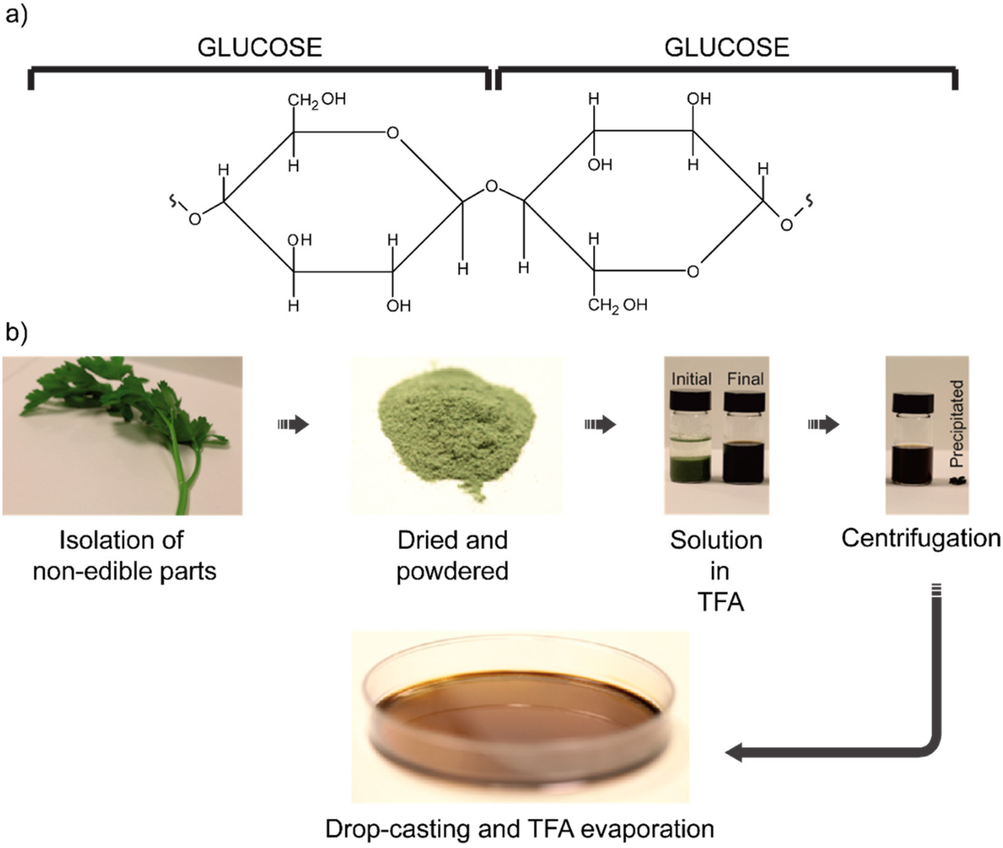 Photonics 08 00470 g006