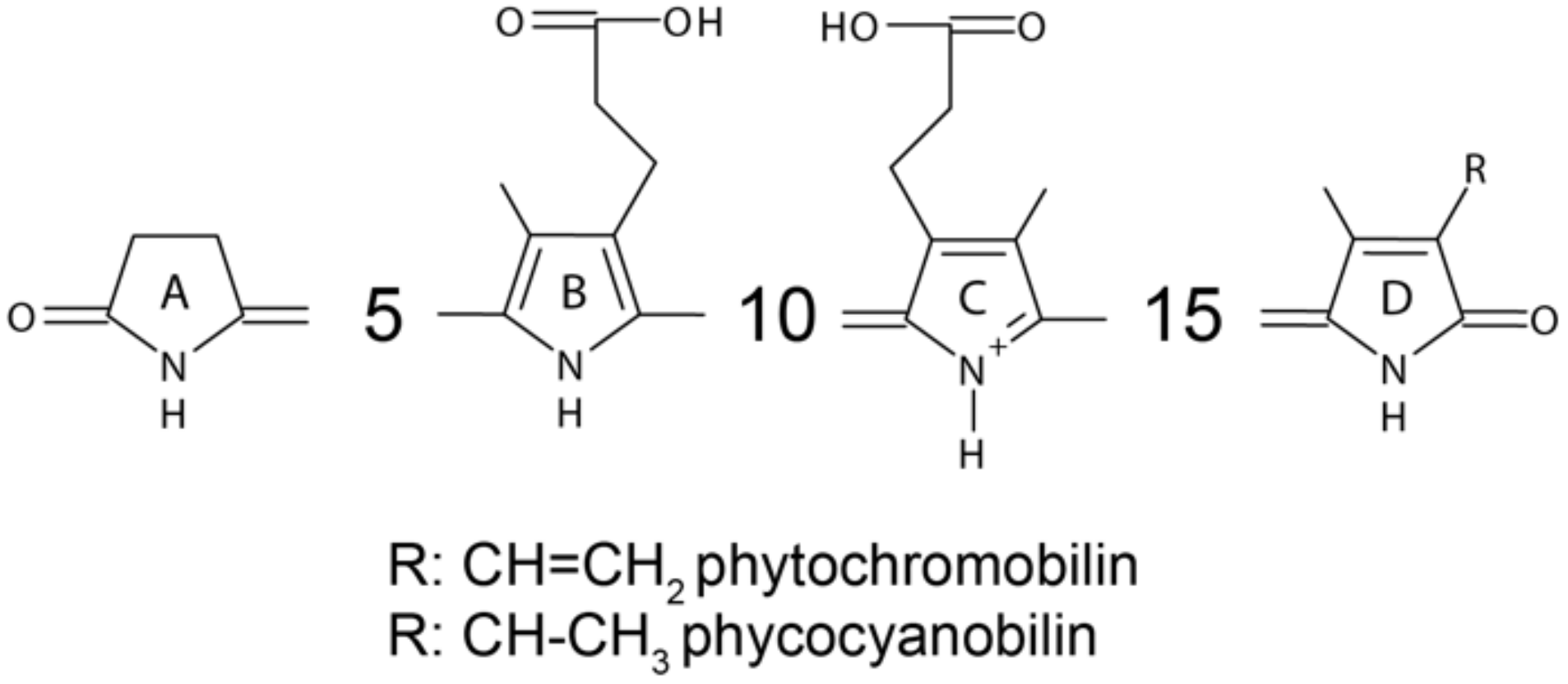 Photonics 08 00470 g009