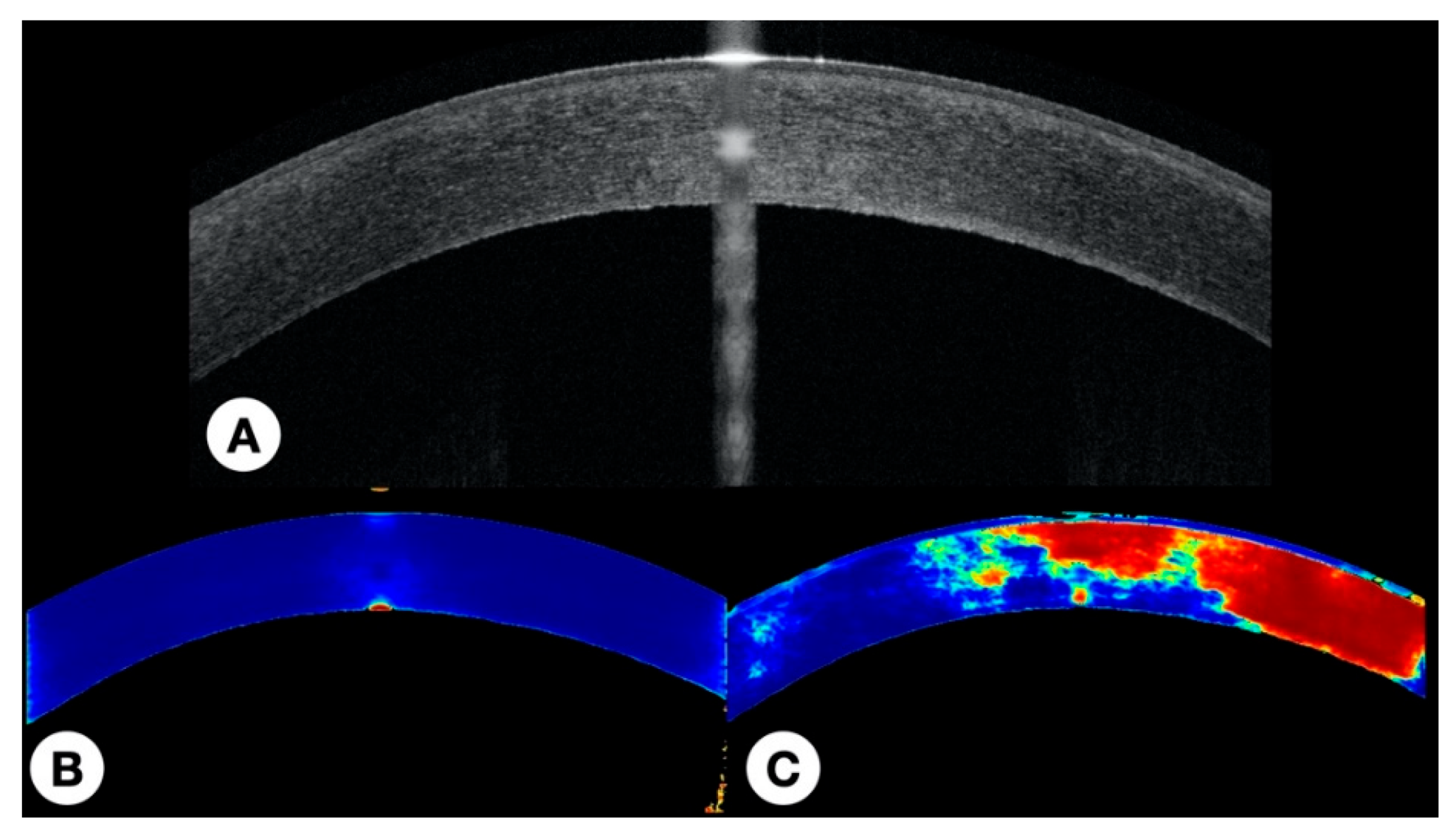 Photonics 08 00483 g006