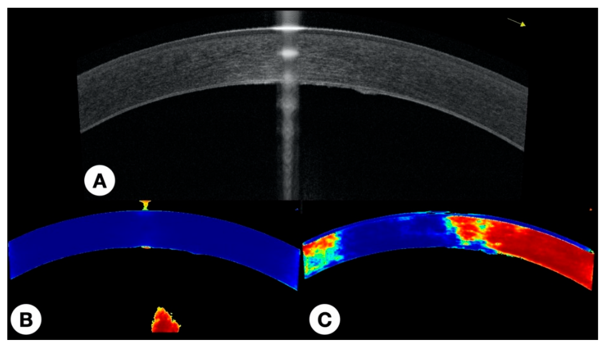 Photonics 08 00483 g008