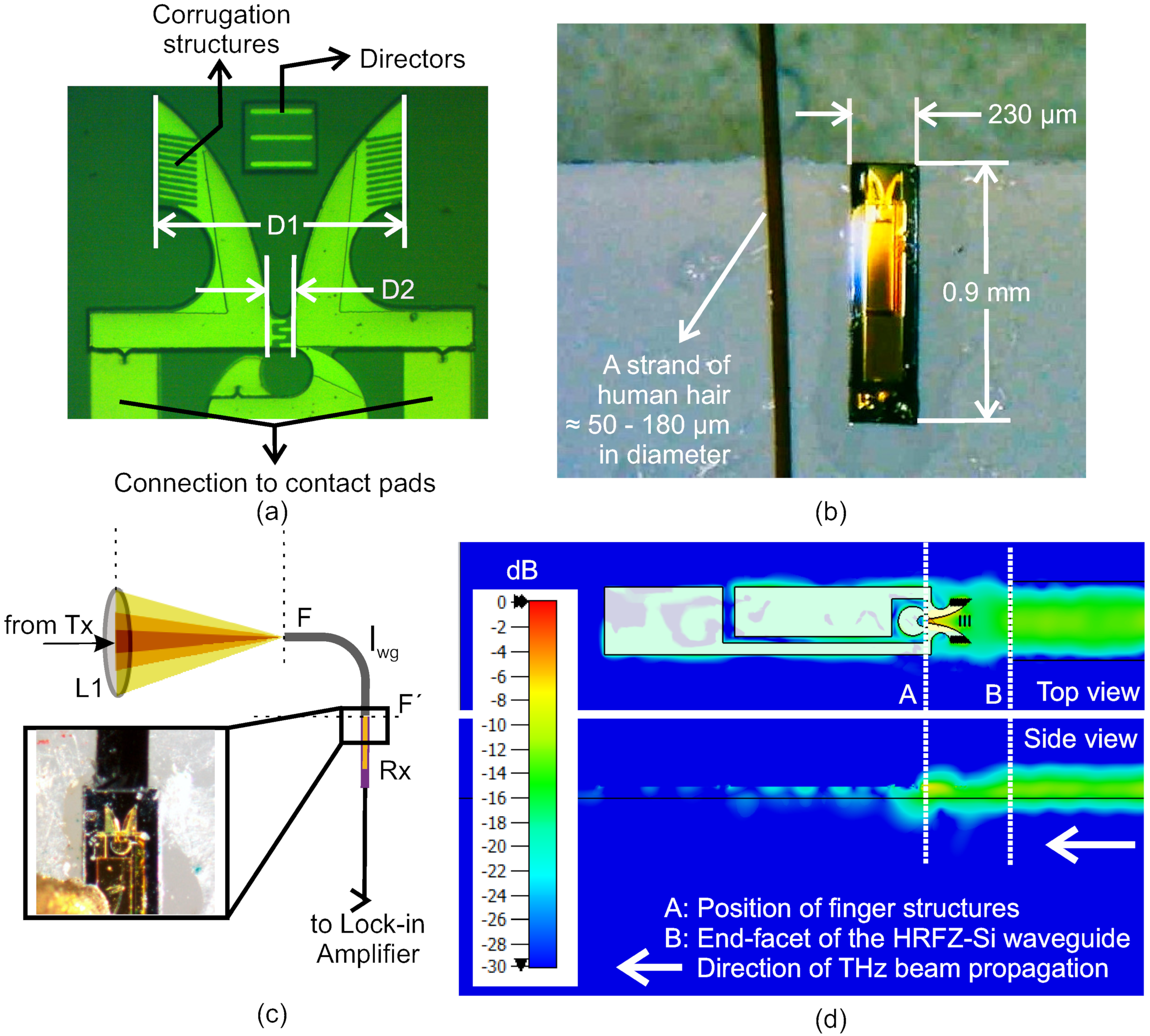 Photonics 08 00492 g005 Photonics 08 00492 g005
