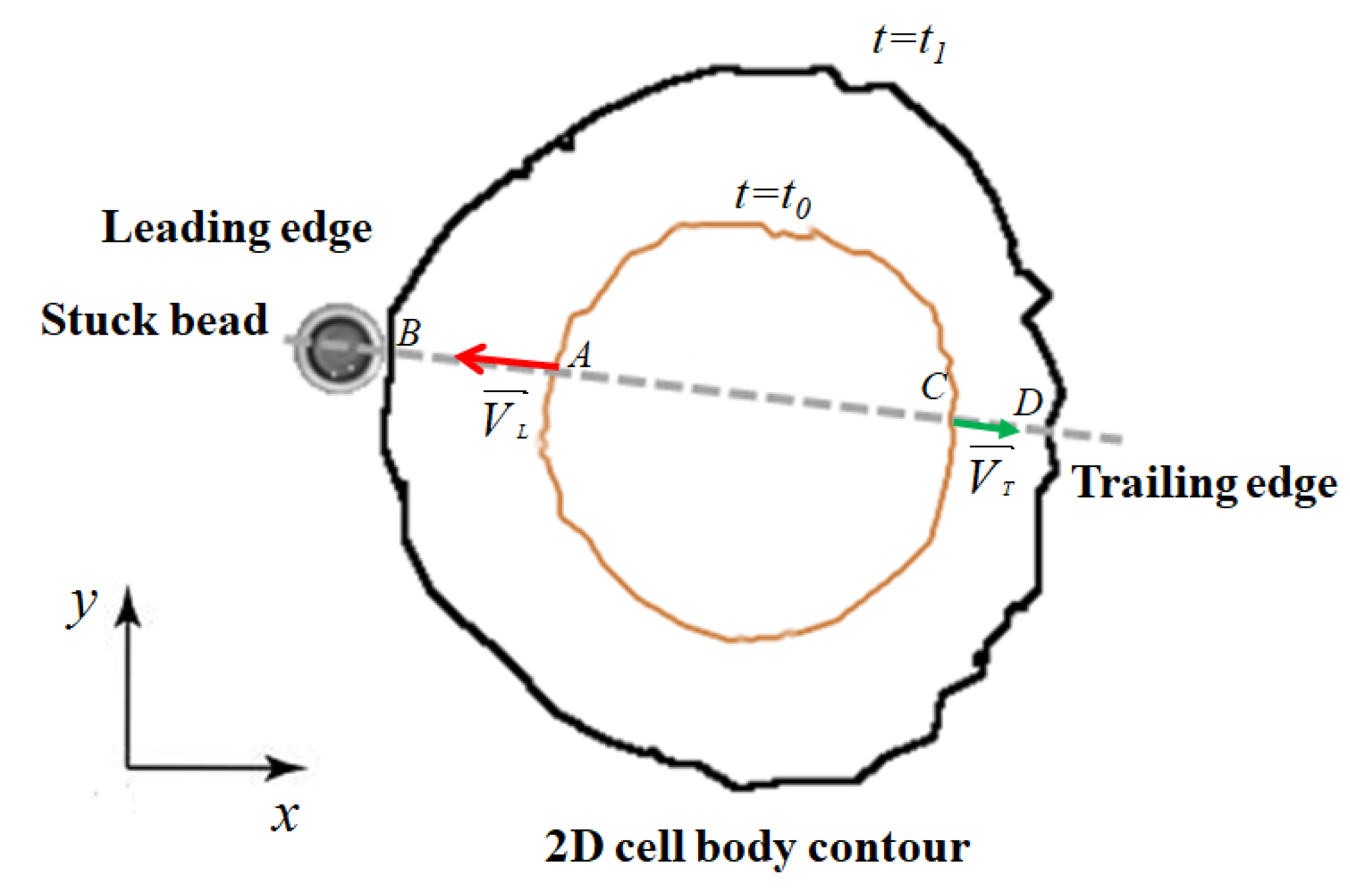 Photonics 08 00533 g002 550