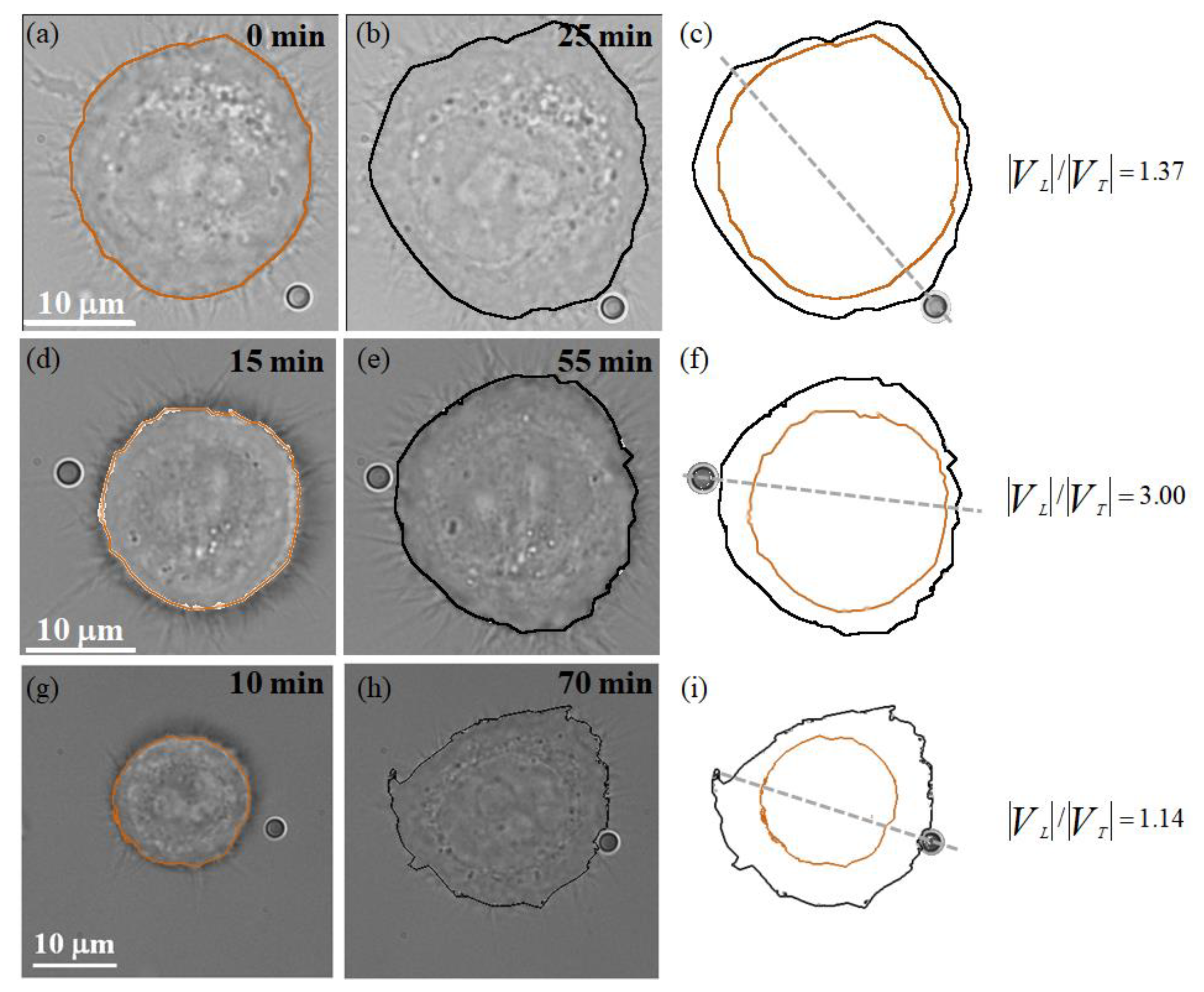 Photonics 08 00533 g004 550