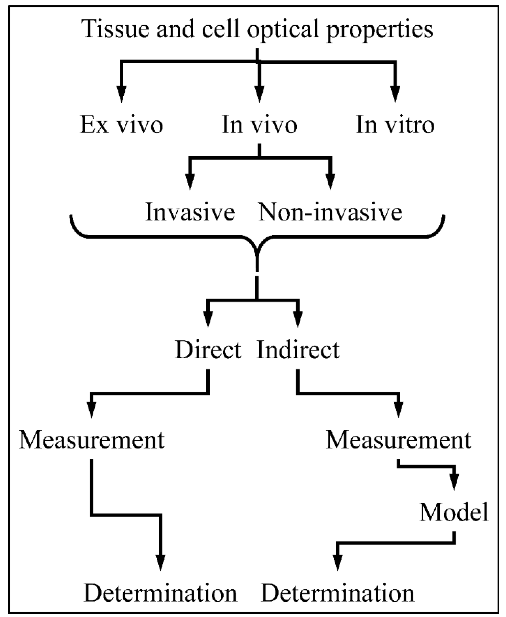 Photonics 08 00540 g001 Photonics 08 00540 g001