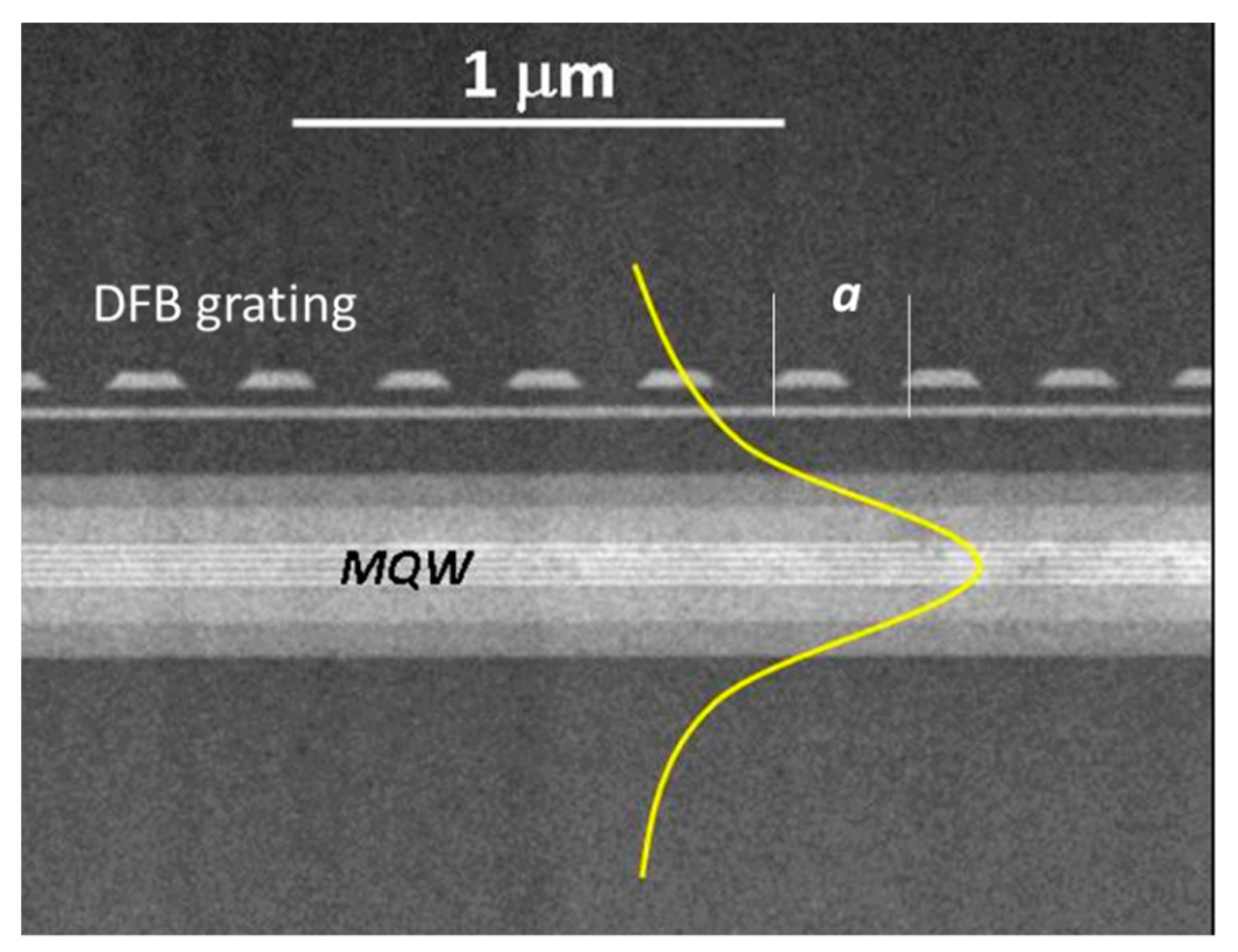 Photonics Free FullText Optical Gain in Commercial Laser Diodes